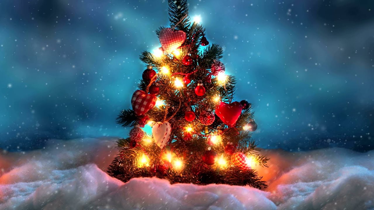 Christmas Tree With Light Decorations Wallpapers