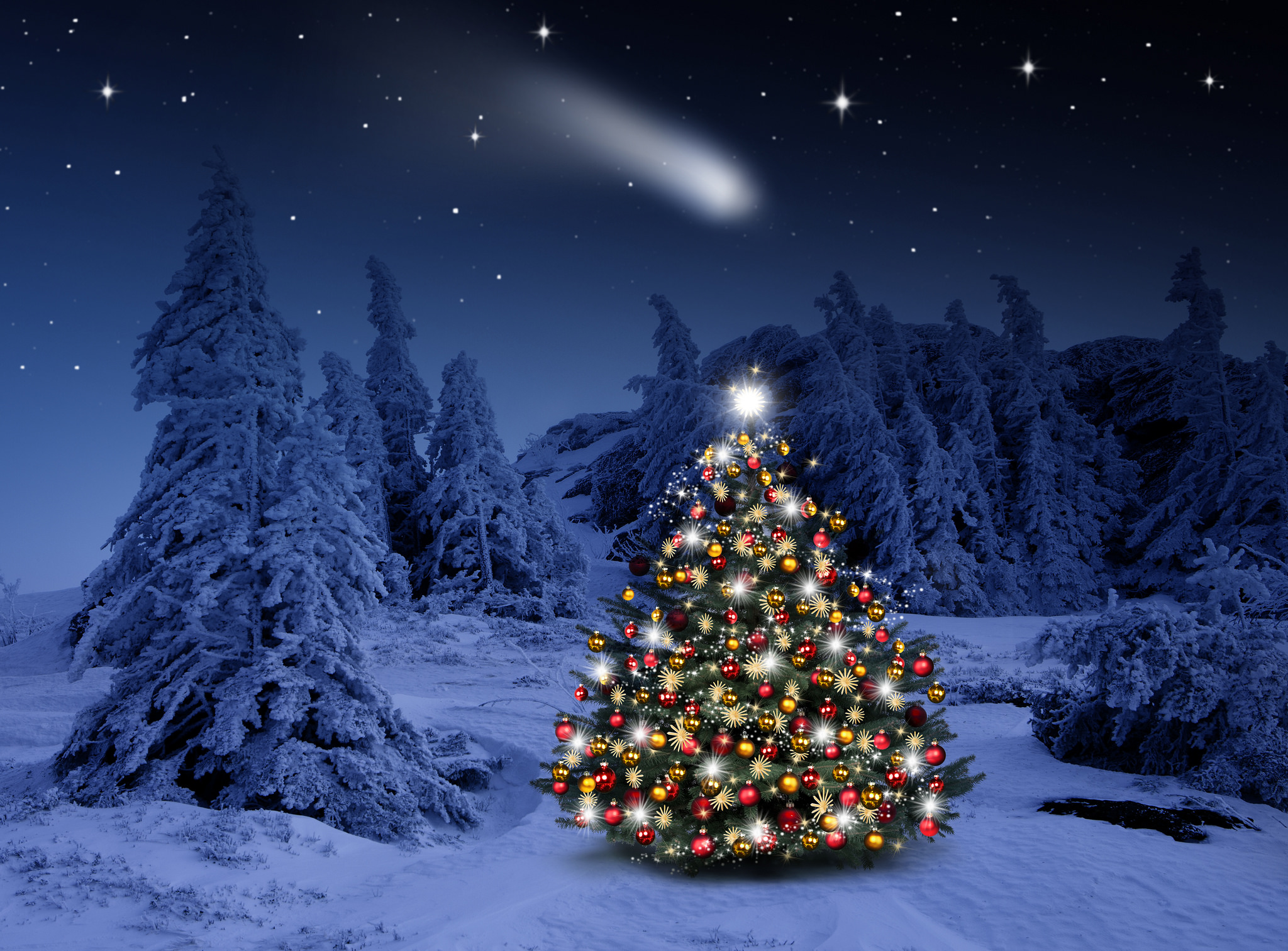 Christmas Tree With Light Decorations Wallpapers