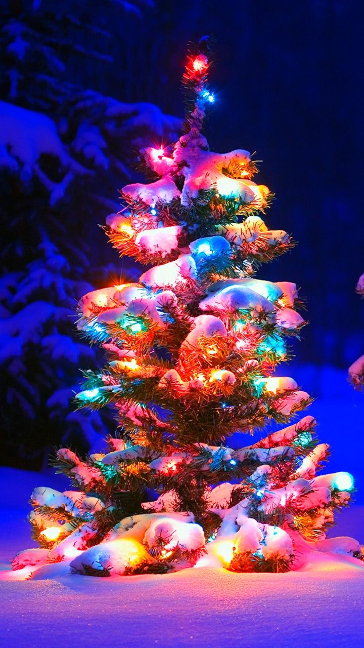 Christmas Tree With Light Decorations Wallpapers