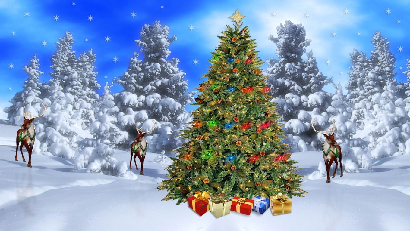 Christmas Winter Scenes Wallpapers