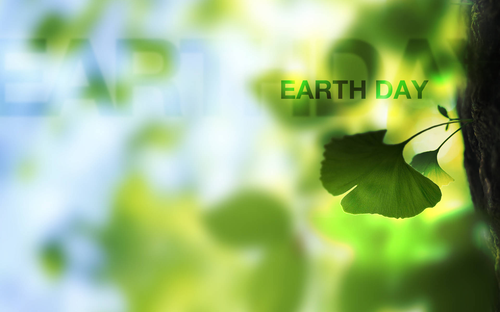 Earth Day Wallpapers