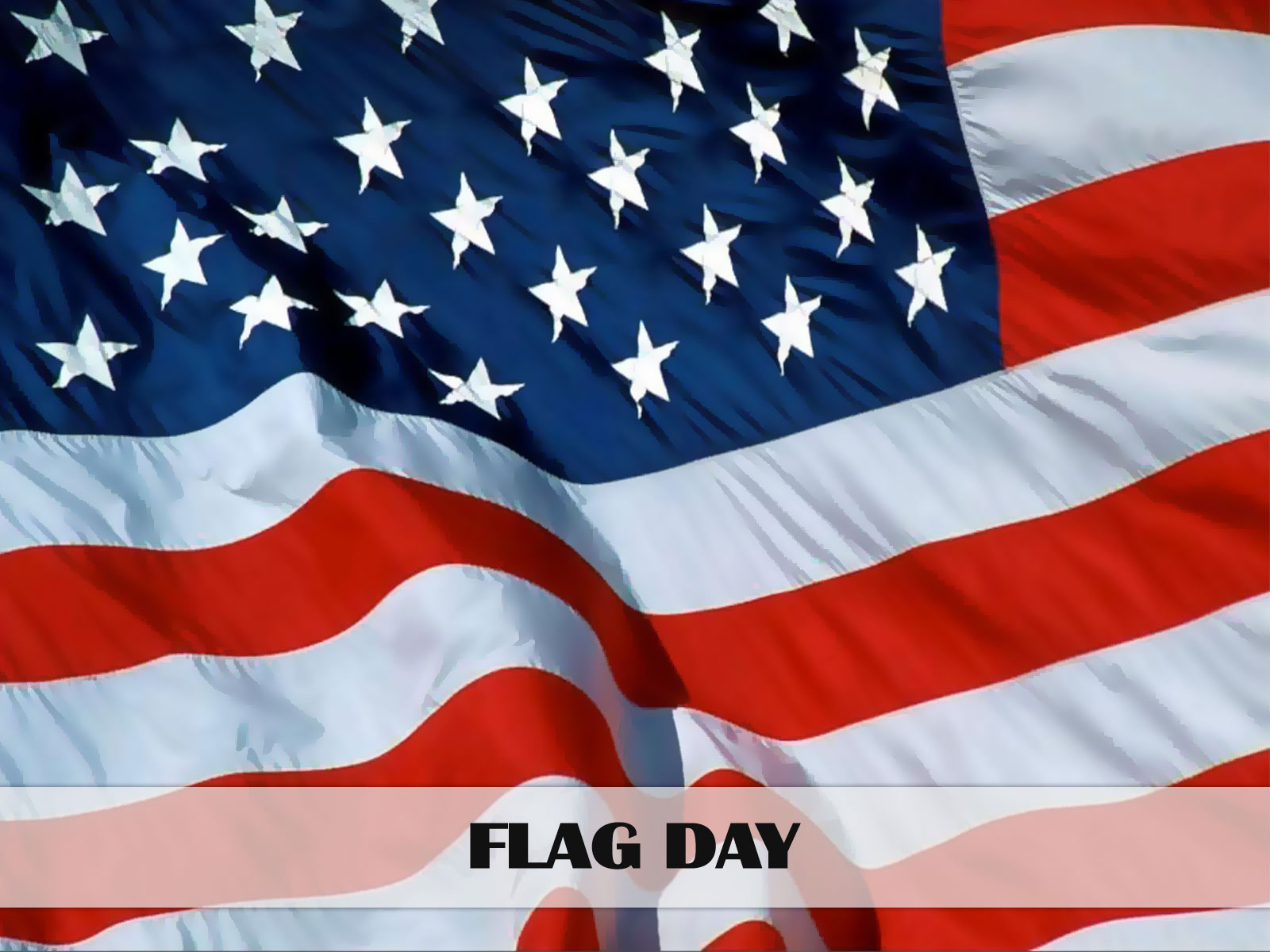 Flag Day Wallpapers