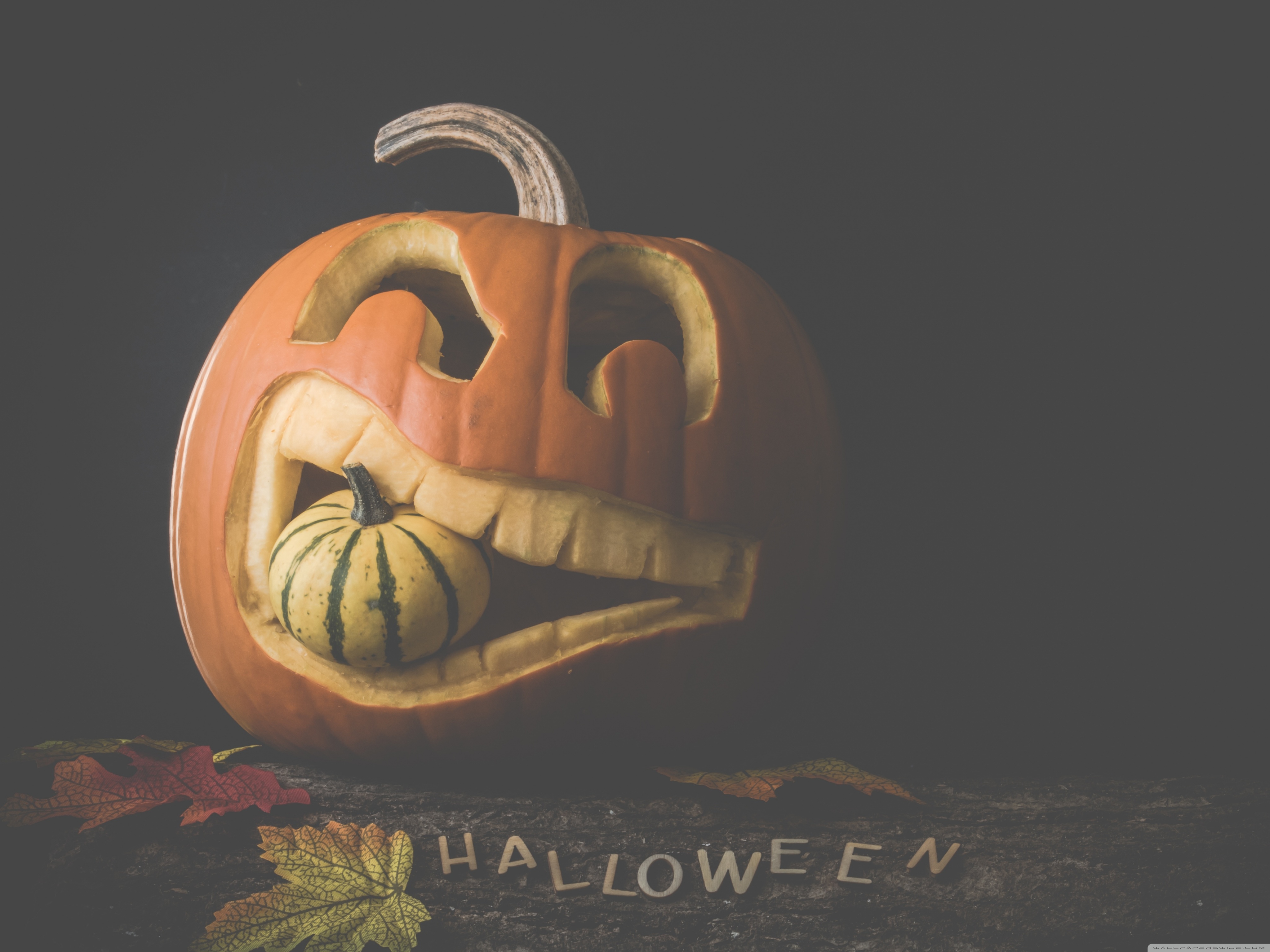 Halloween 2019 Wallpapers