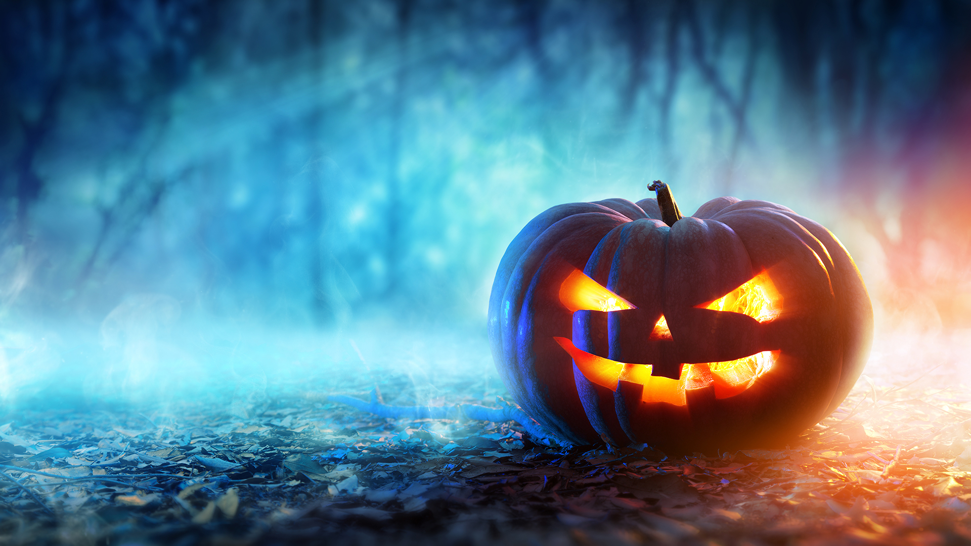 Halloween Scary Pumpkin Wallpapers