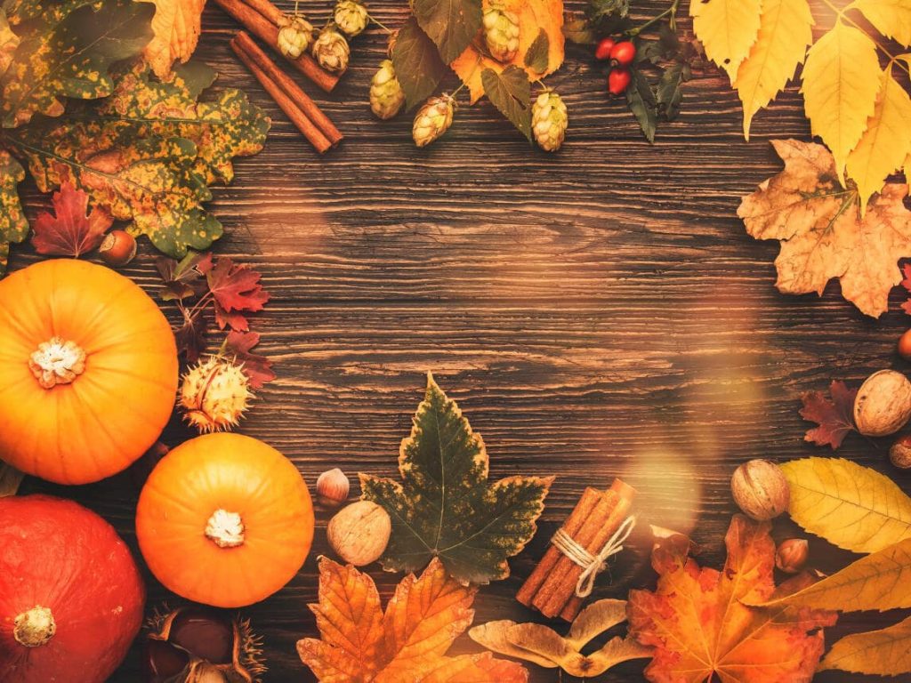 Thanksgiving Hd 2021 Wallpapers