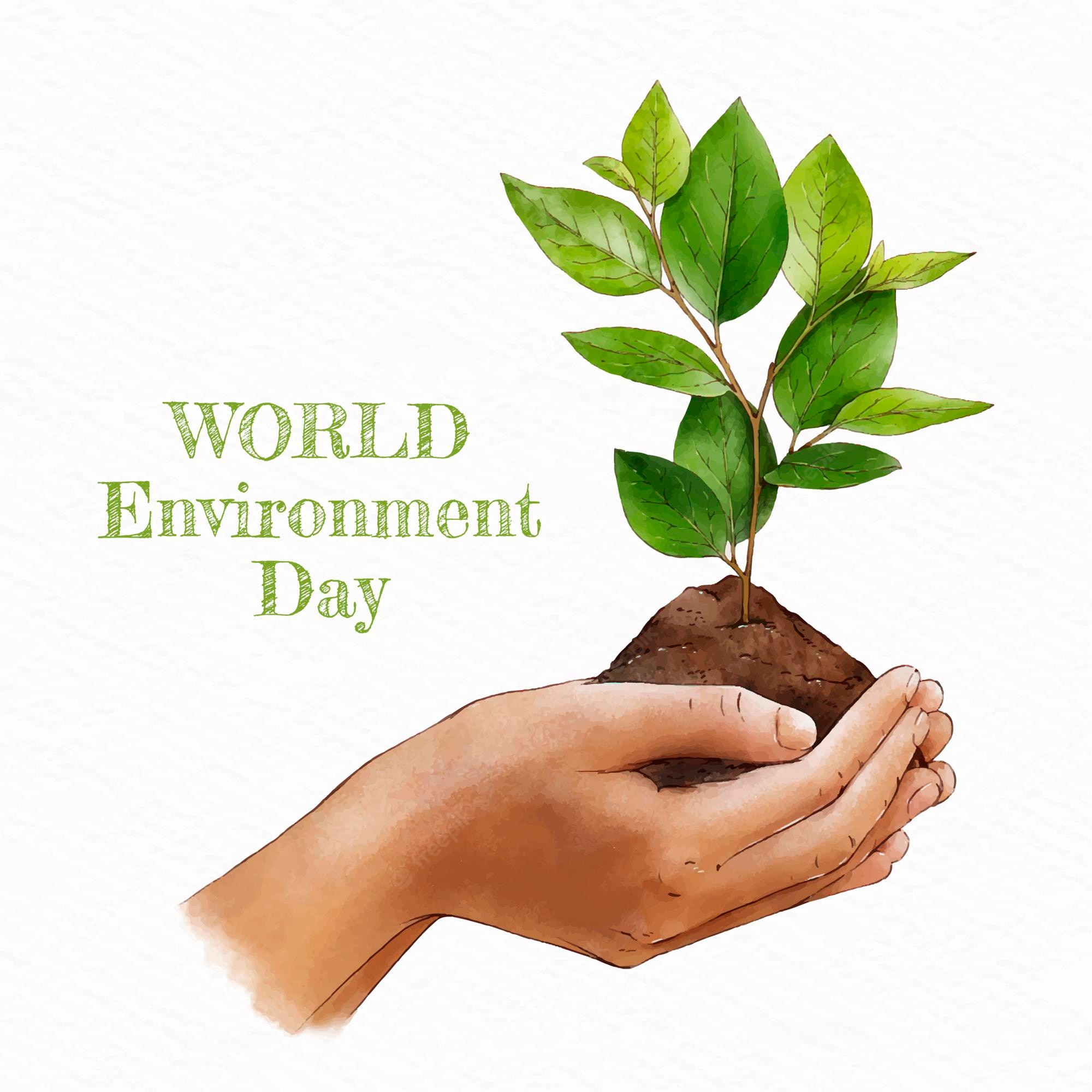 World Environment Day Wallpapers