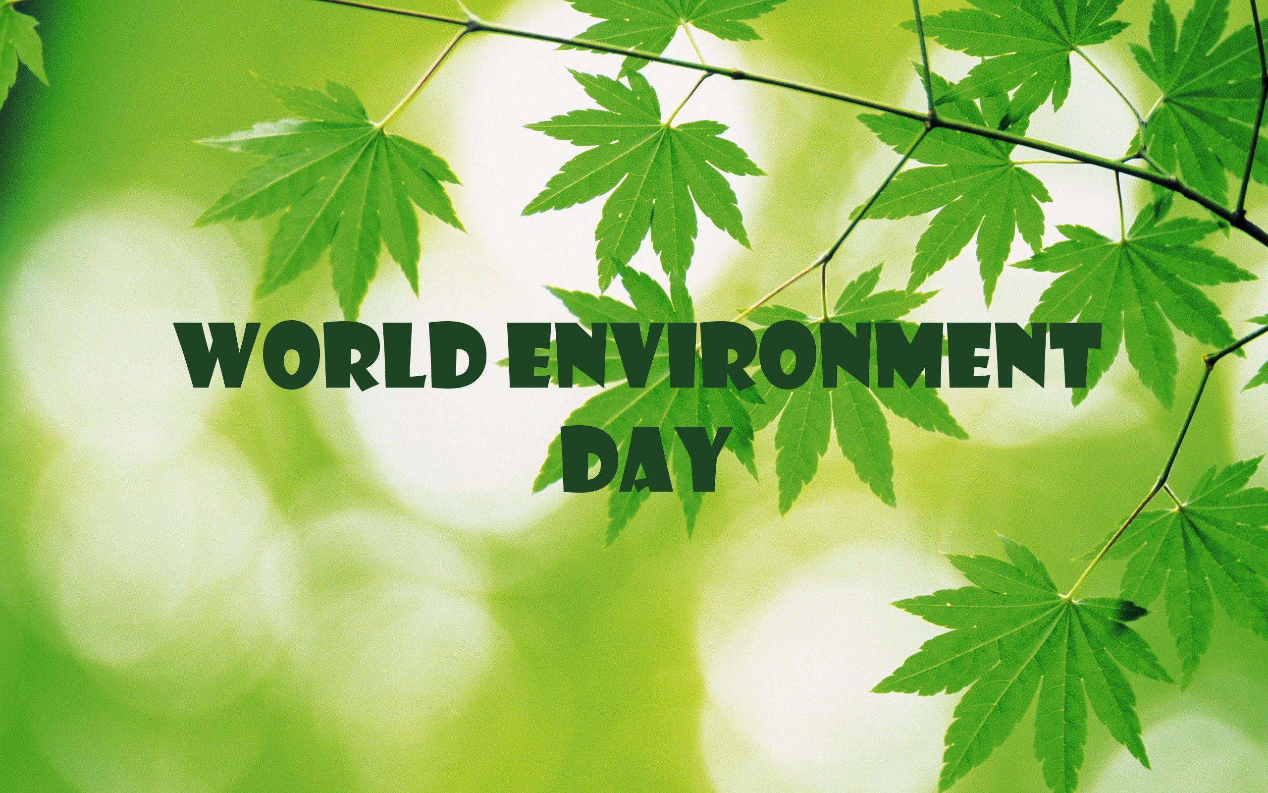 World Environment Day Wallpapers