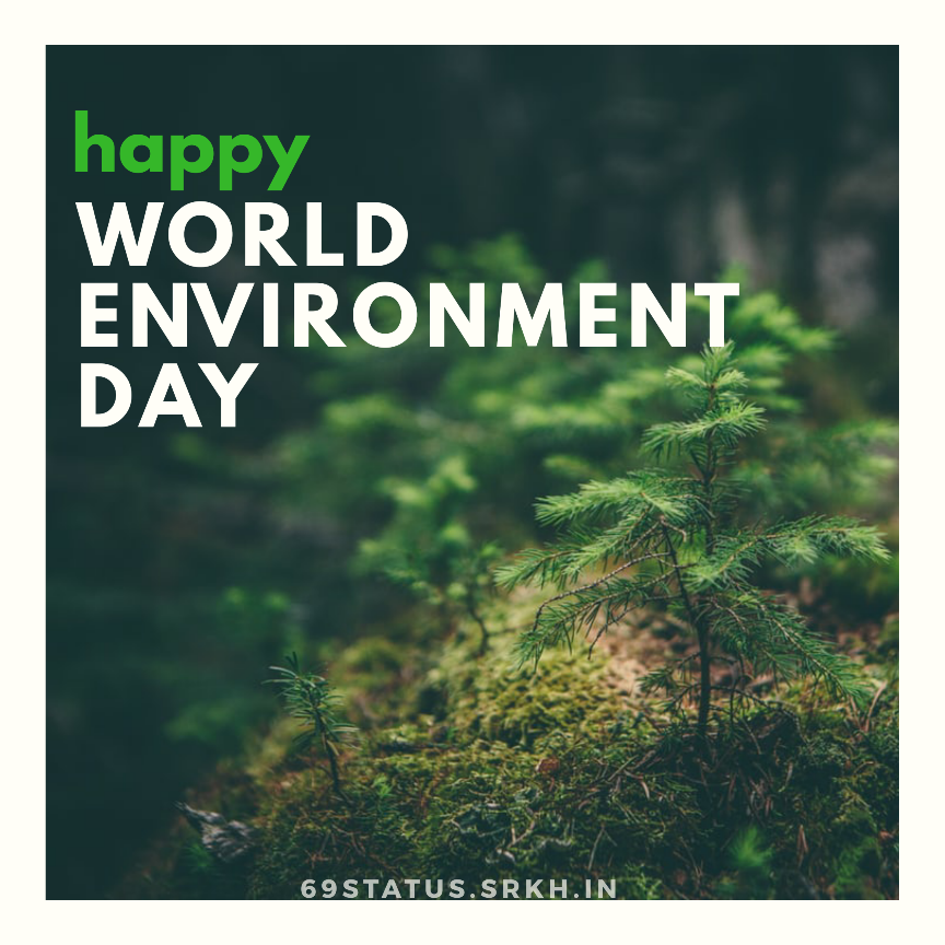 World Environment Day Wallpapers