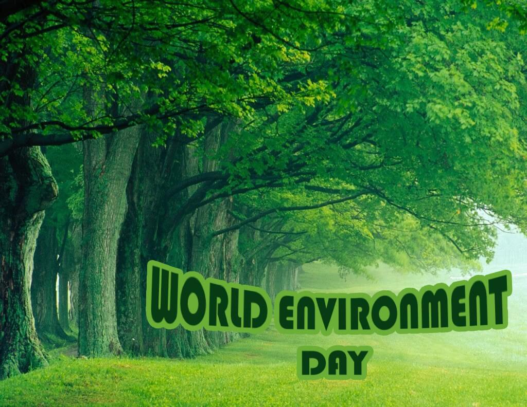 World Environment Day Wallpapers