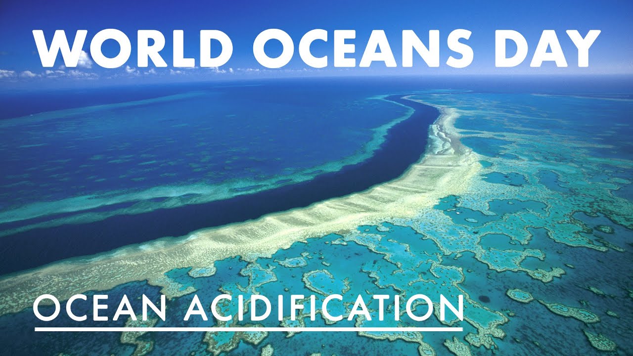 World Oceans Day Wallpapers