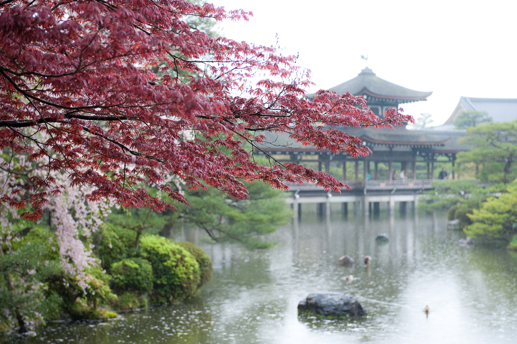 Heian Shrine Wallpapers