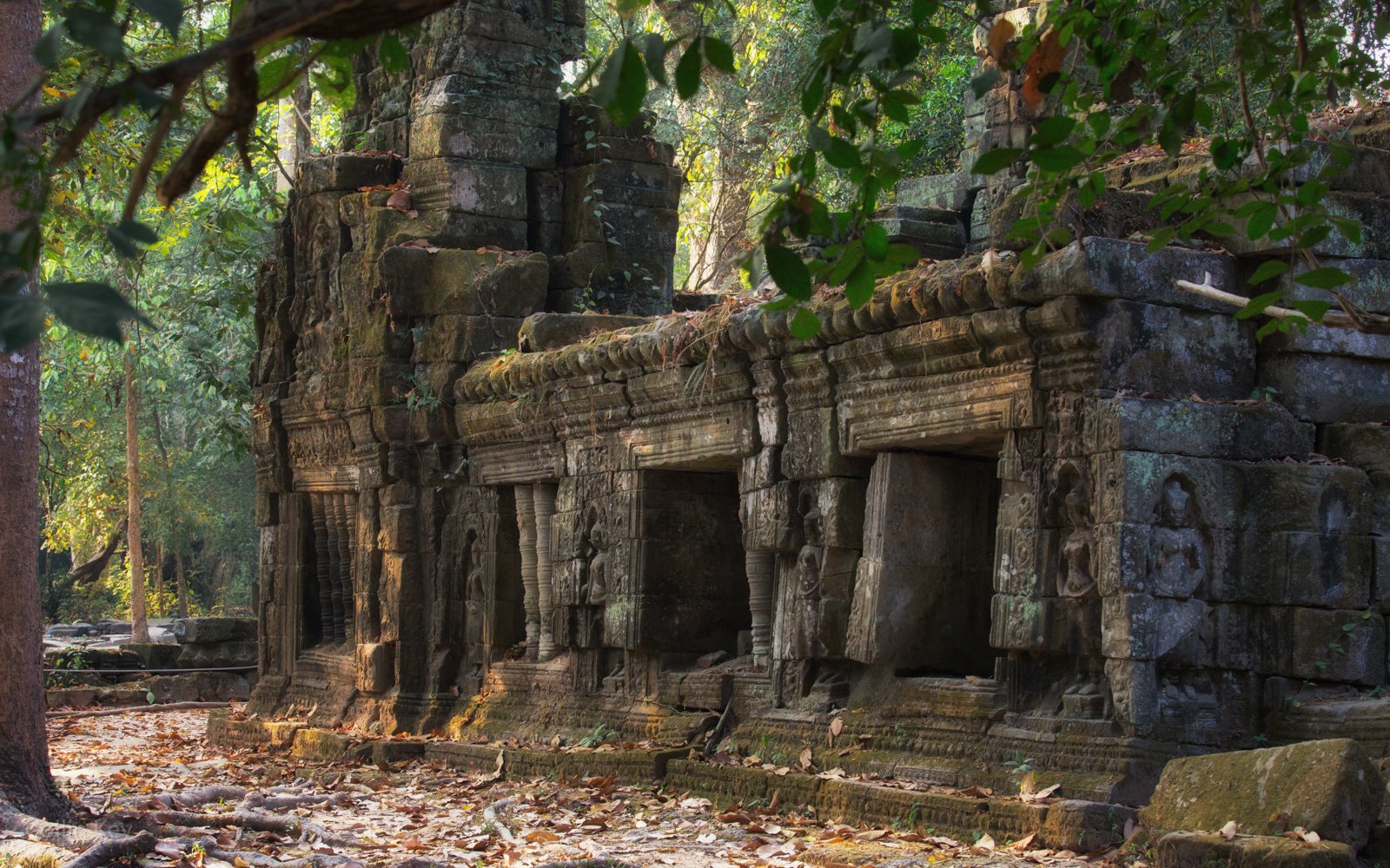 Ta Prohm Wallpapers