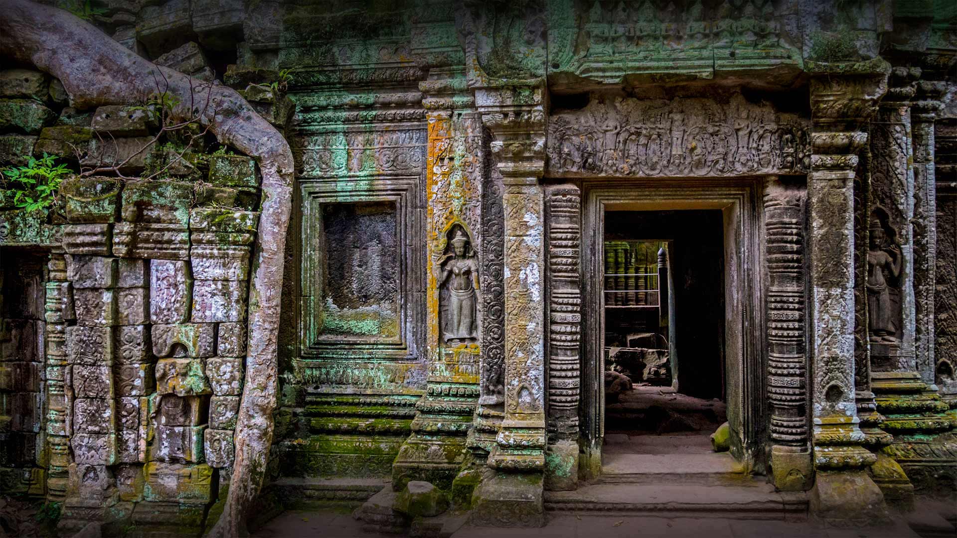 Ta Prohm Wallpapers