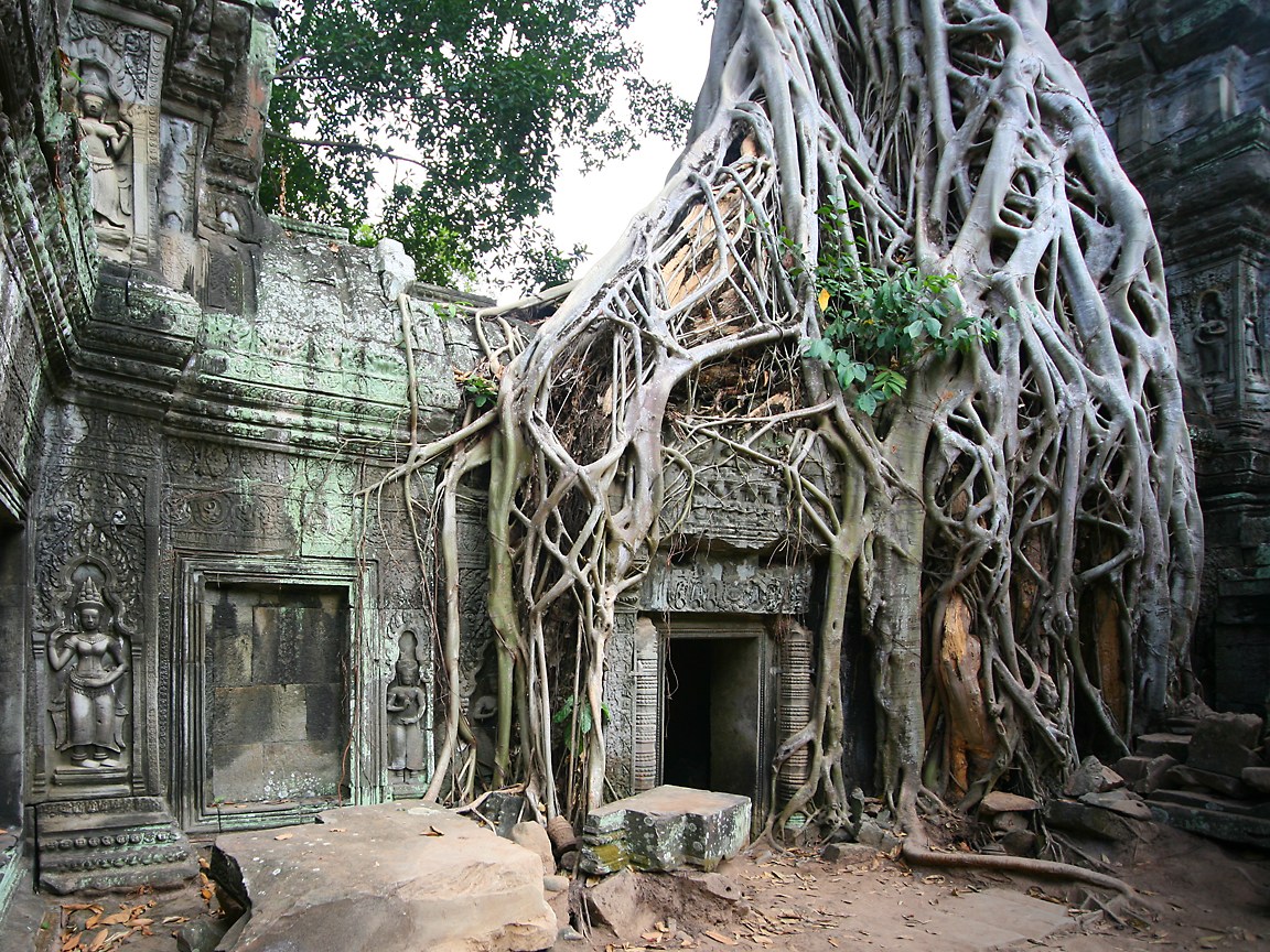 Ta Prohm Wallpapers