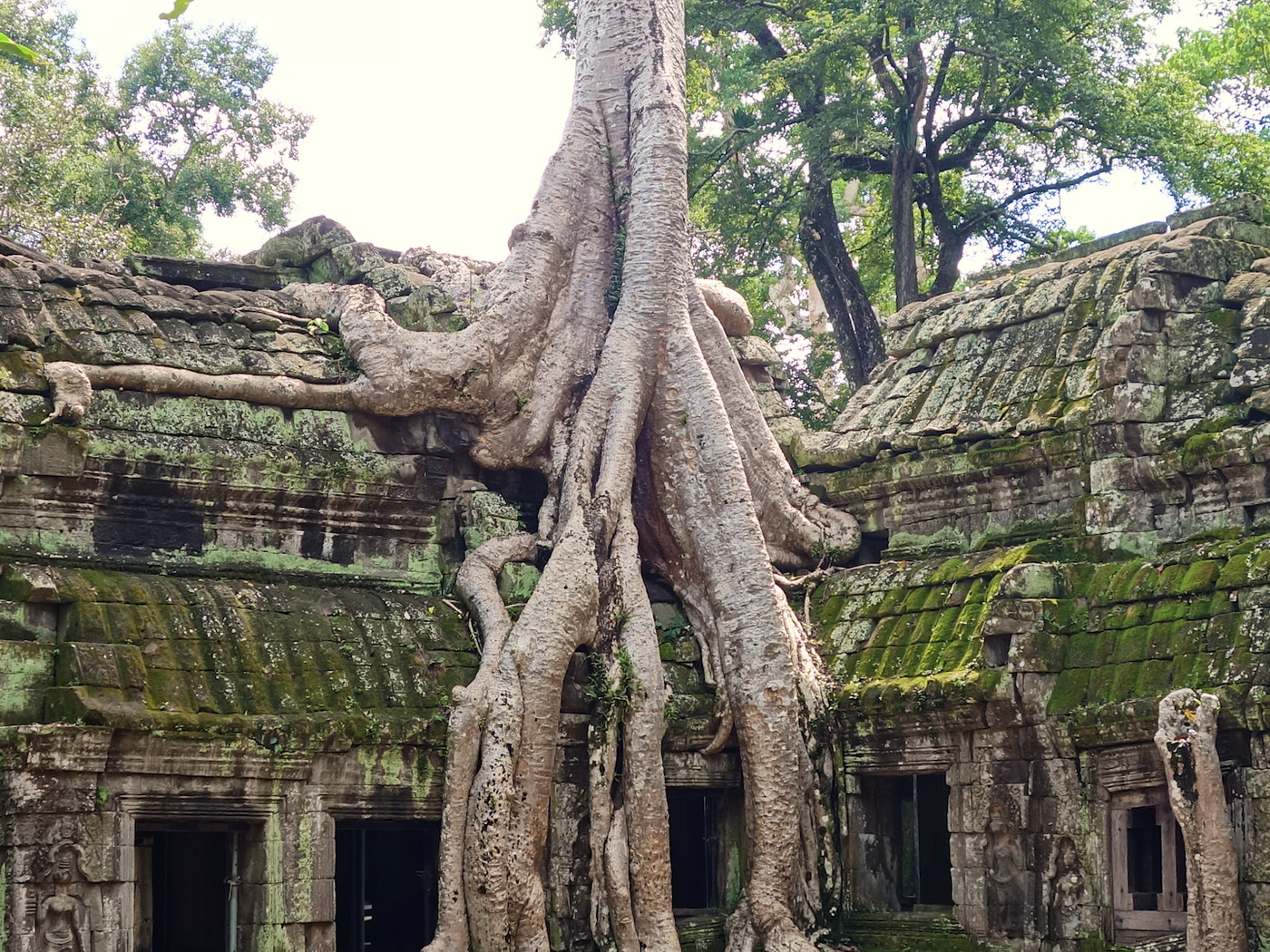 Ta Prohm Wallpapers