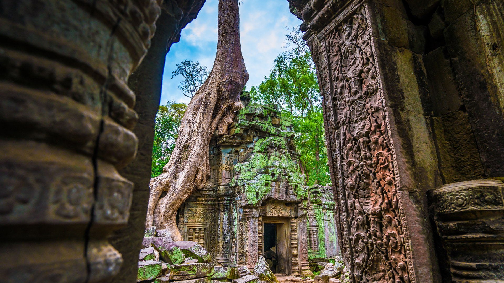 Ta Prohm Wallpapers