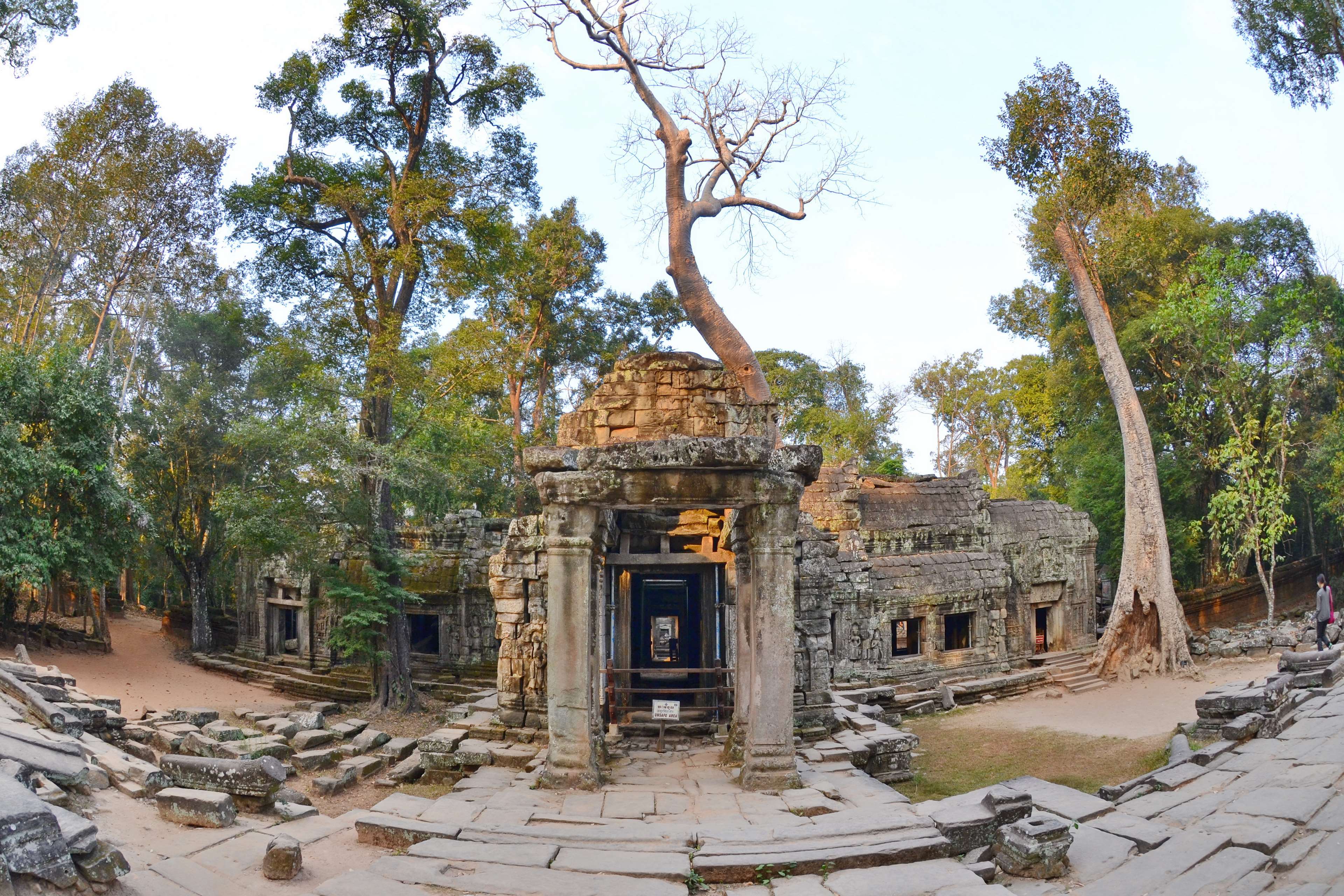 Ta Prohm Wallpapers