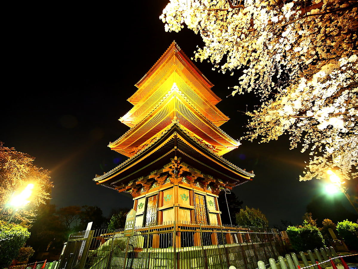 The Great Holy Relics Pagoda Nabhapolbhumisiri Wallpapers