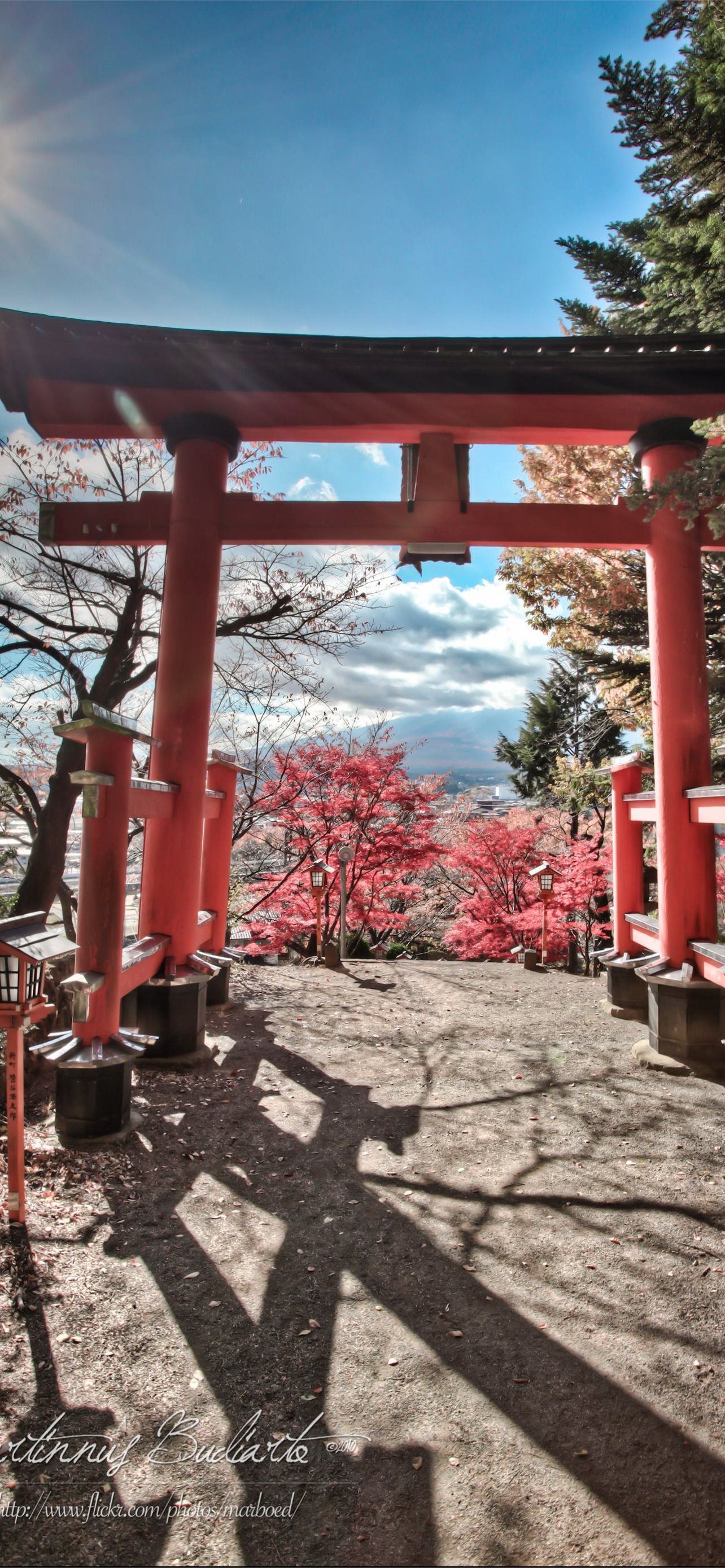 Torii Gate Wallpapers