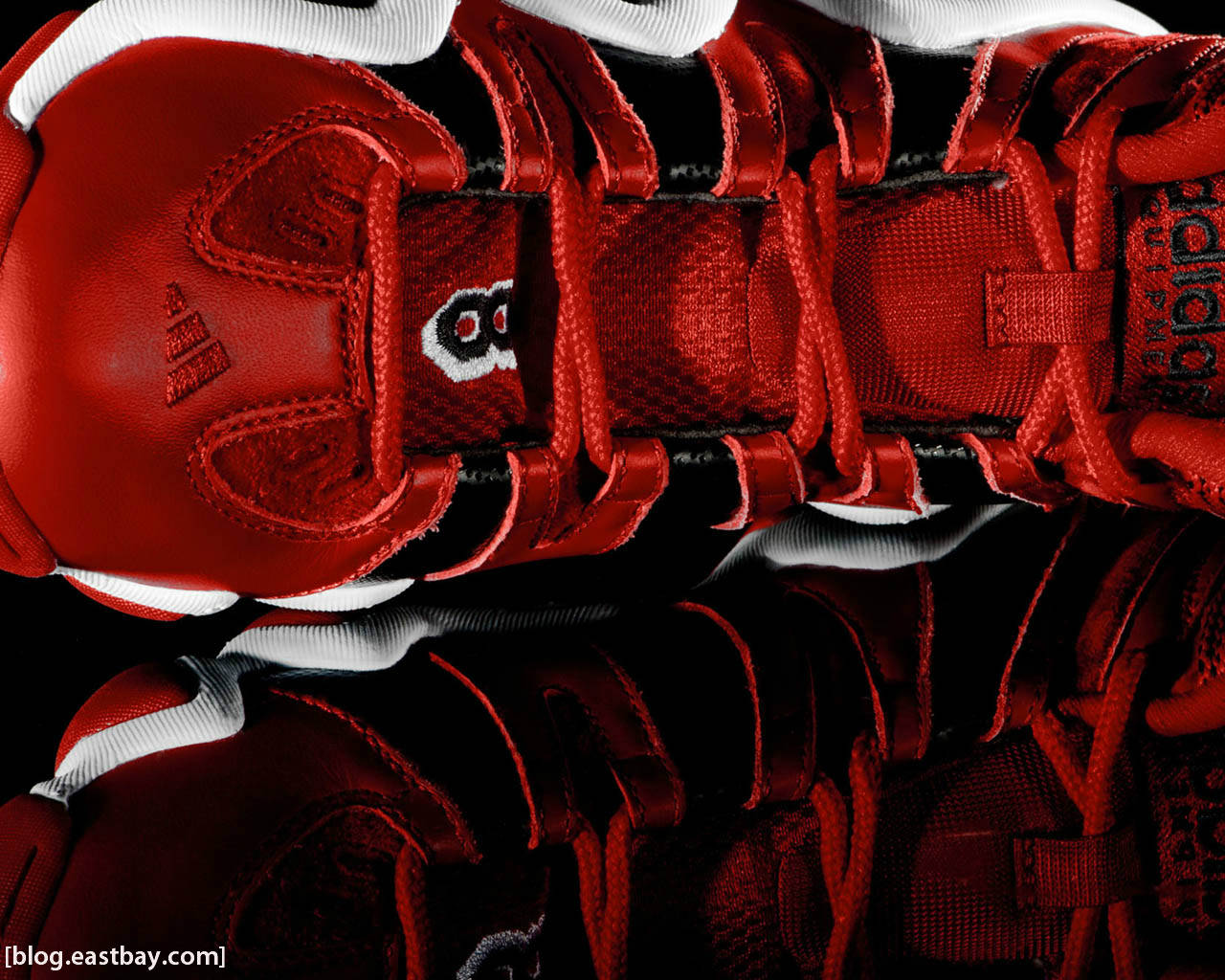 Adidas Basketball Shoes Wallpapers