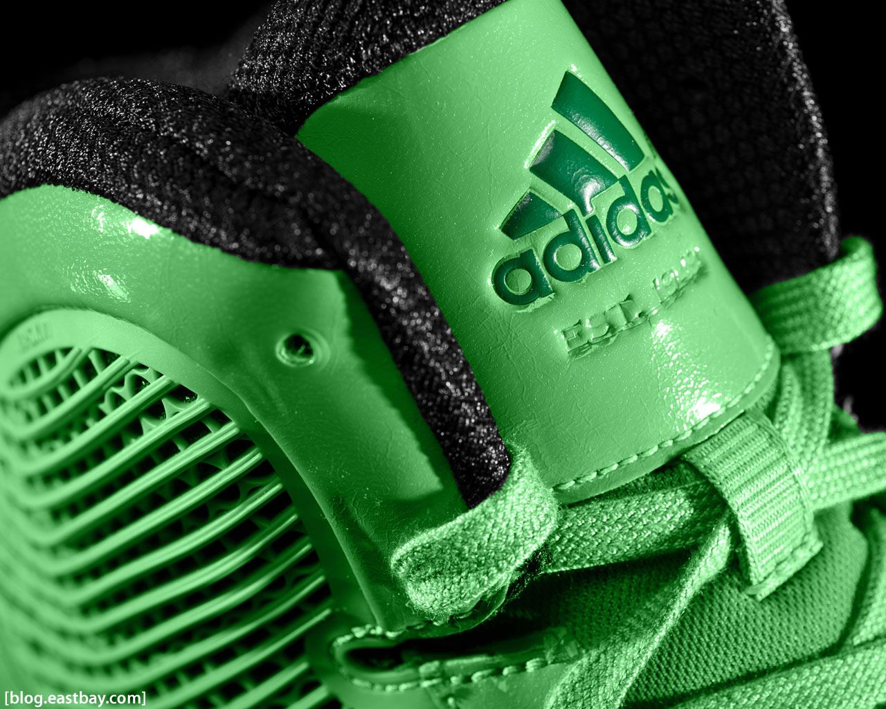 Adidas Basketball Shoes Wallpapers