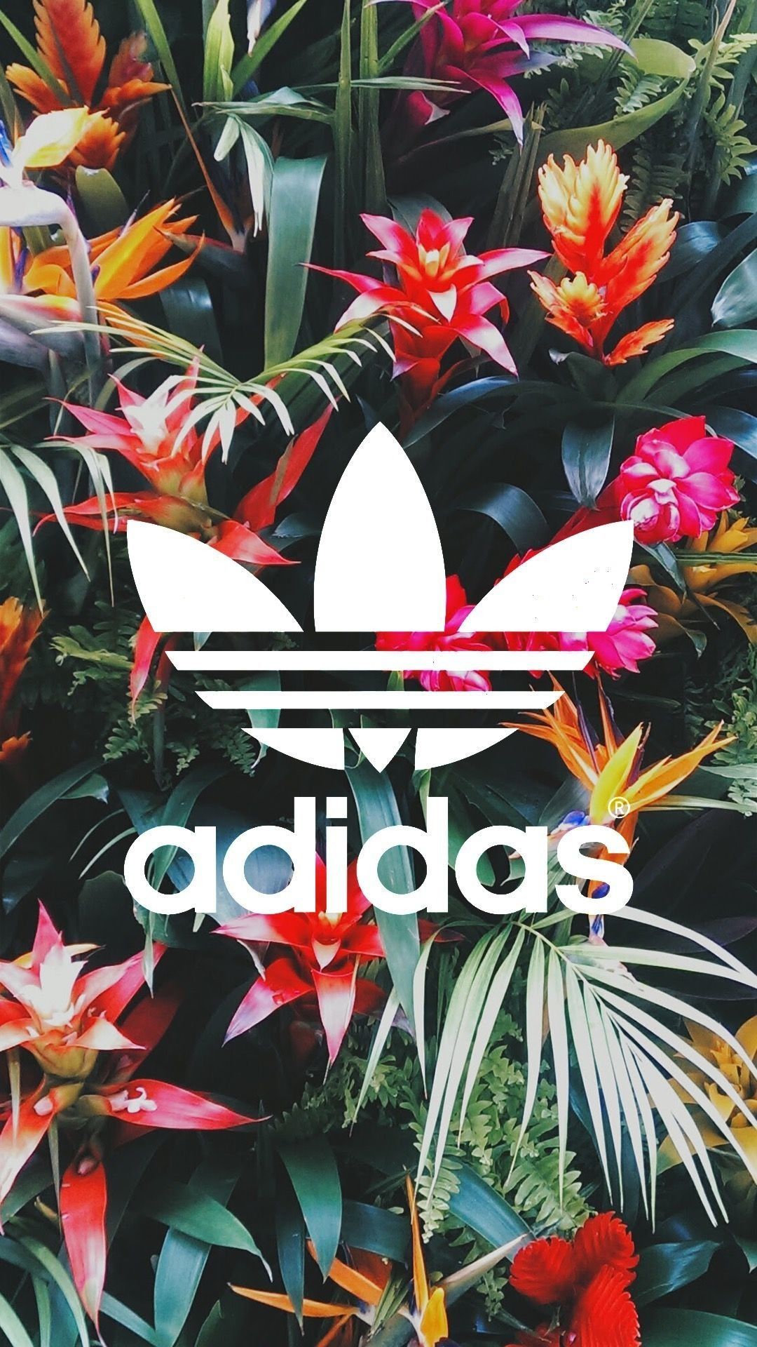 Adidas Flower Wallpapers