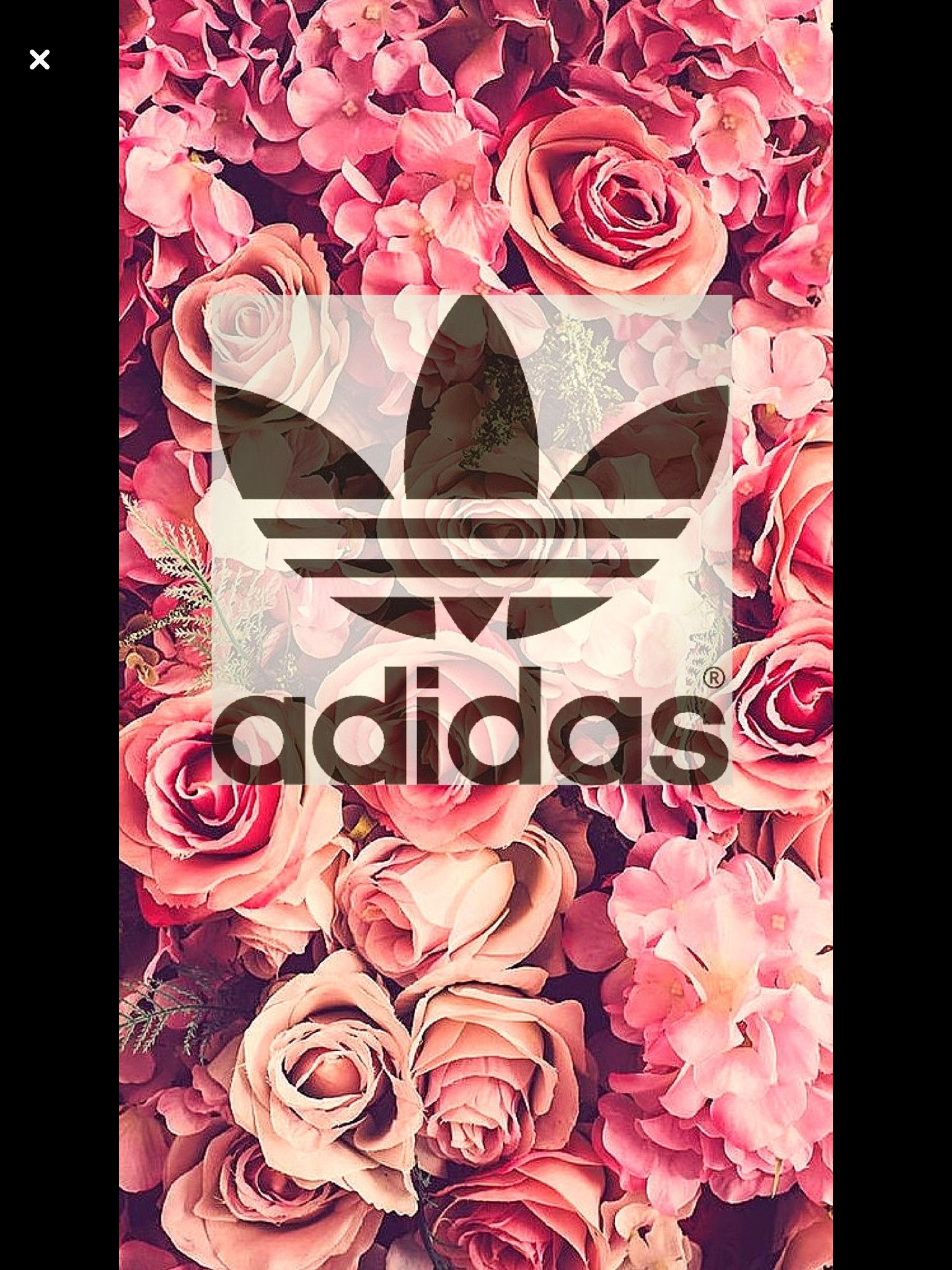 Adidas Flower Wallpapers