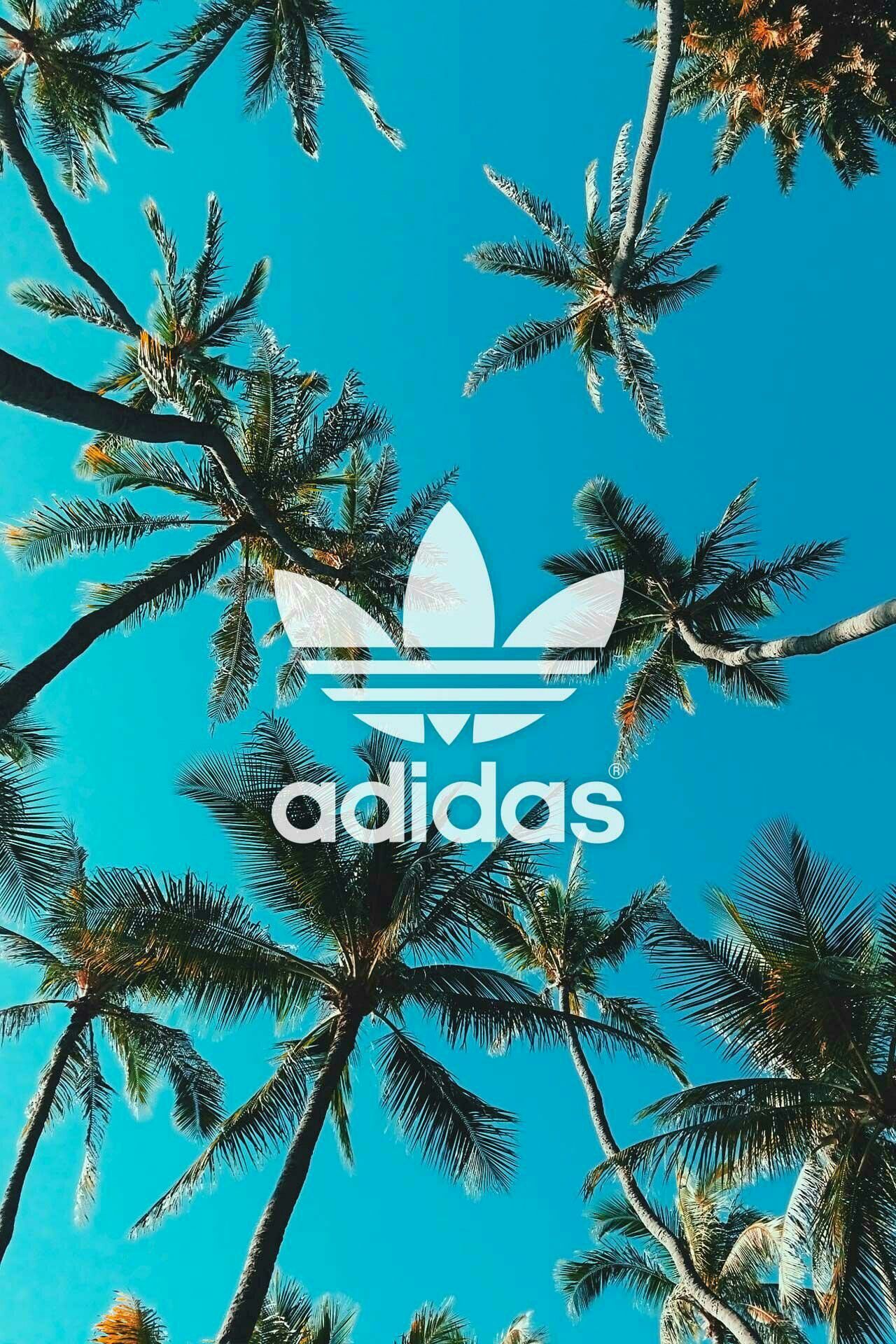 Adidas Palm Tree Wallpapers