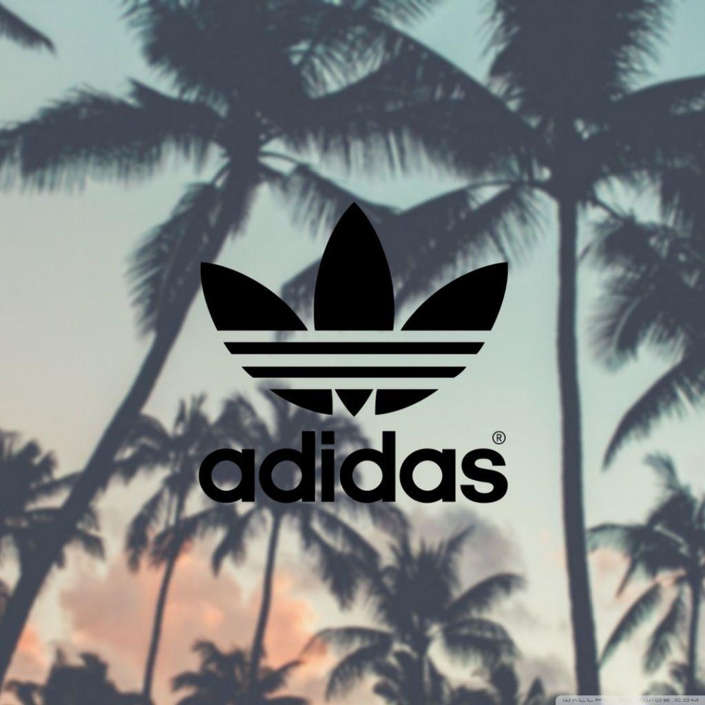 Adidas Palm Tree Wallpapers