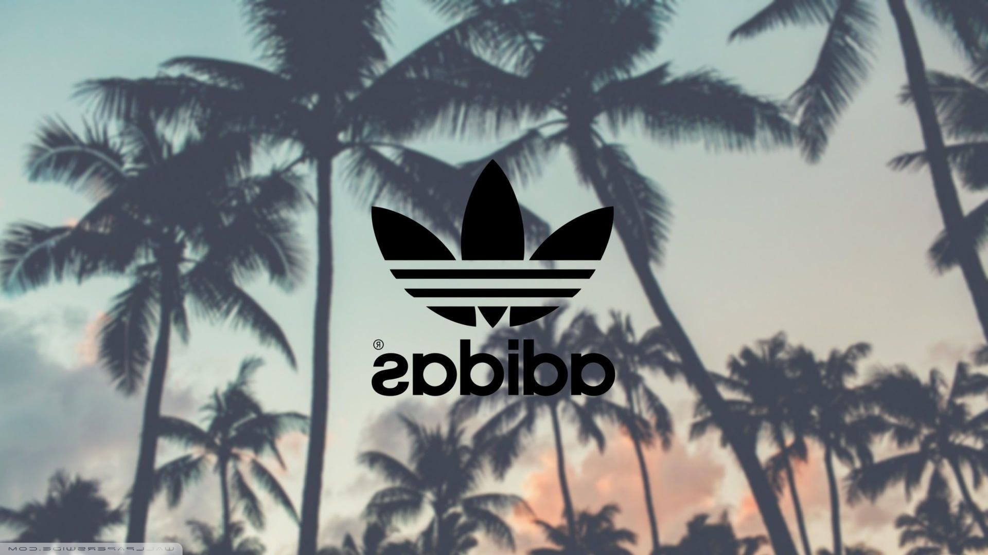 Adidas Palm Tree Wallpapers