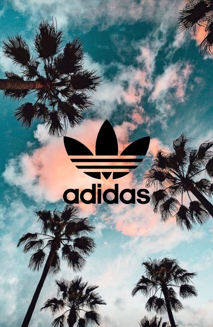 Adidas Palm Tree Wallpapers