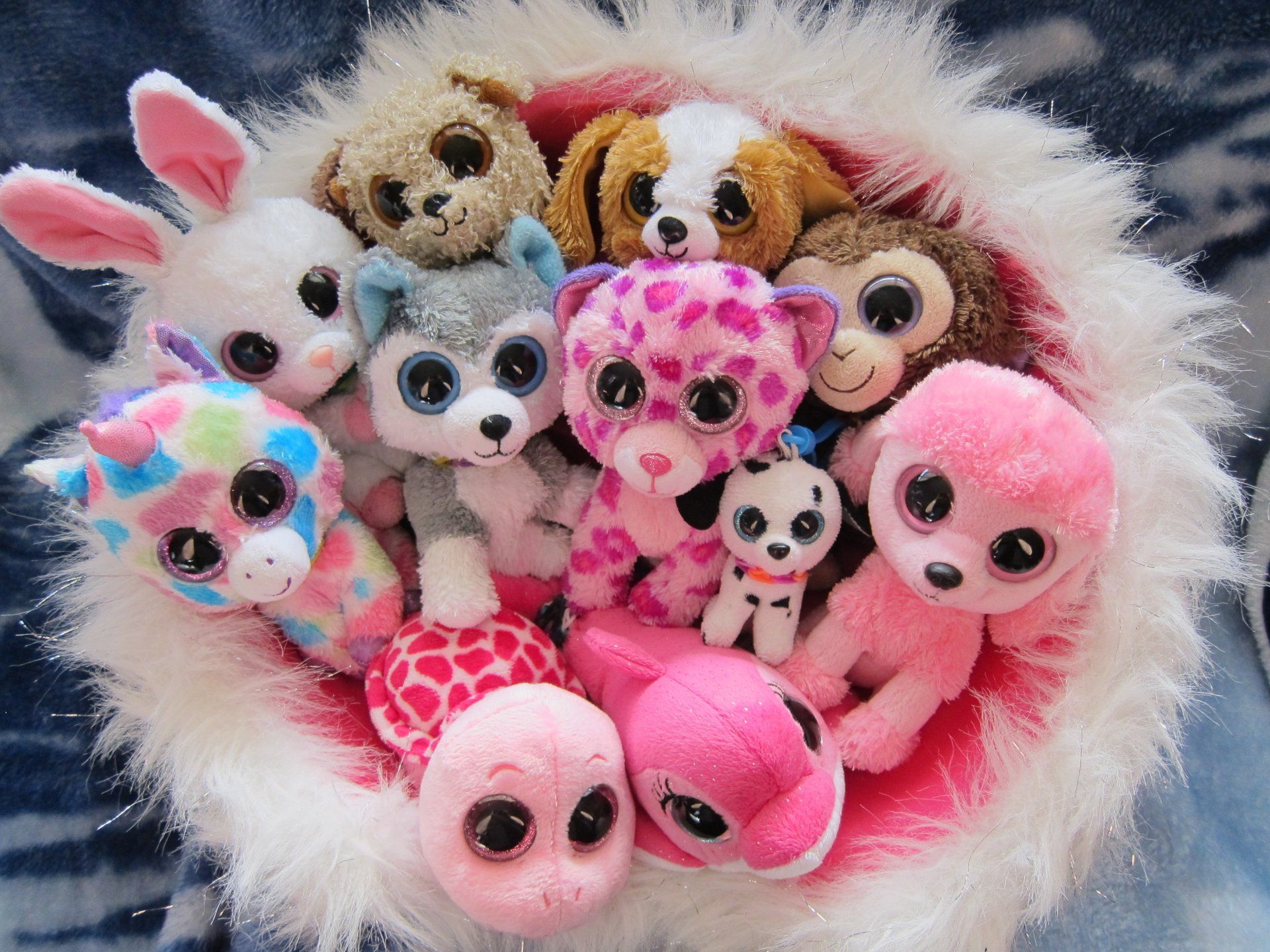 Beanie Boos Wallpapers