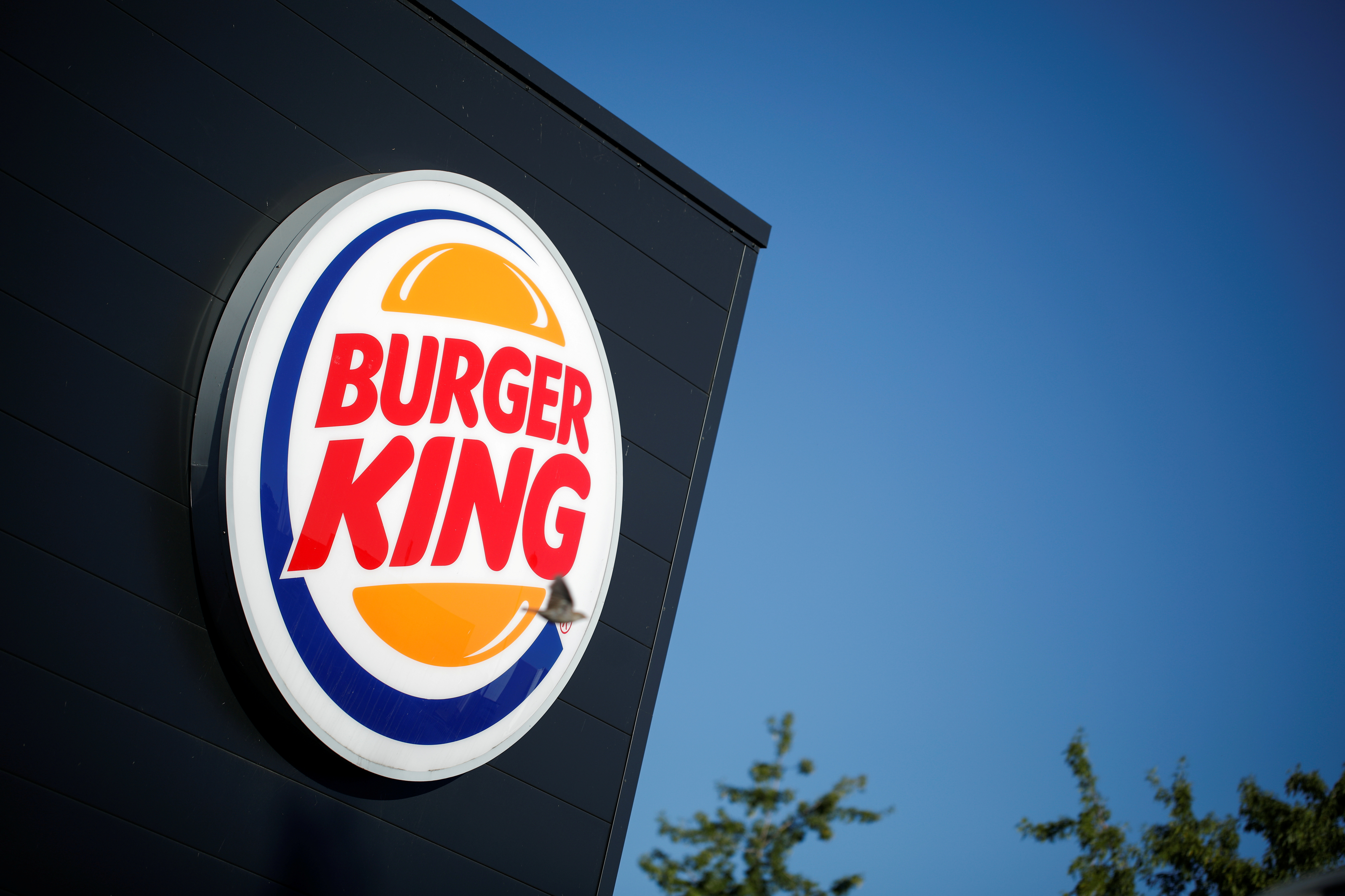 Burger King Wallpapers