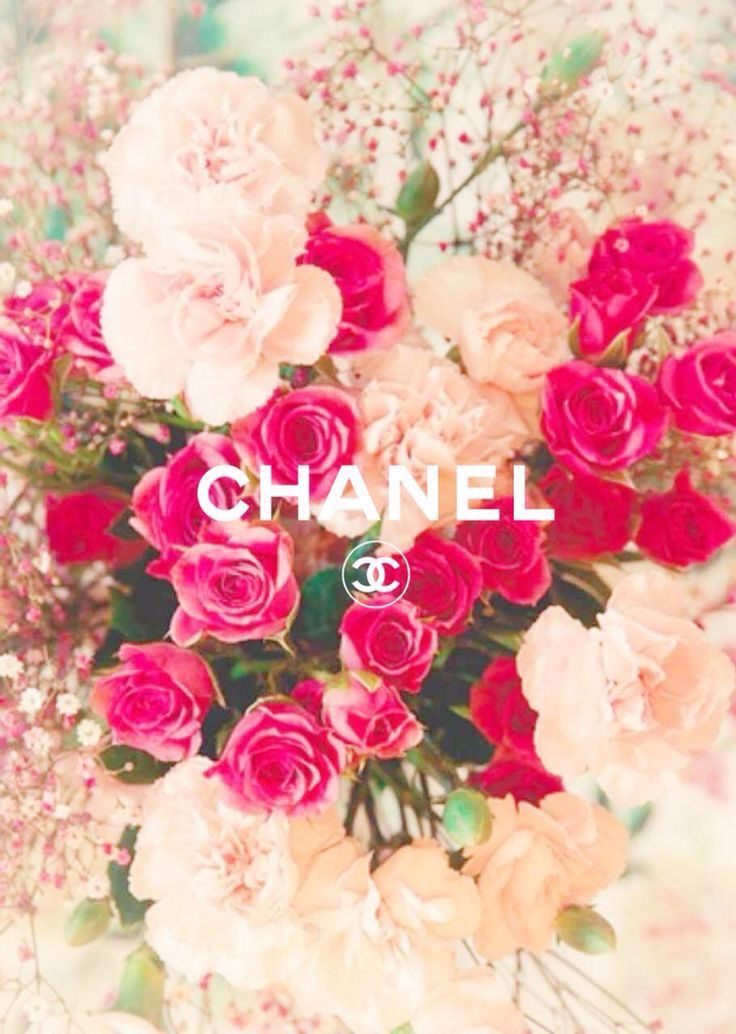 Chanel Roses Wallpapers