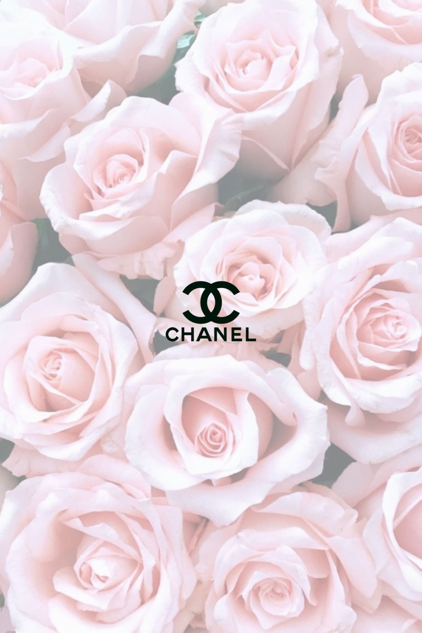 Chanel Roses Wallpapers