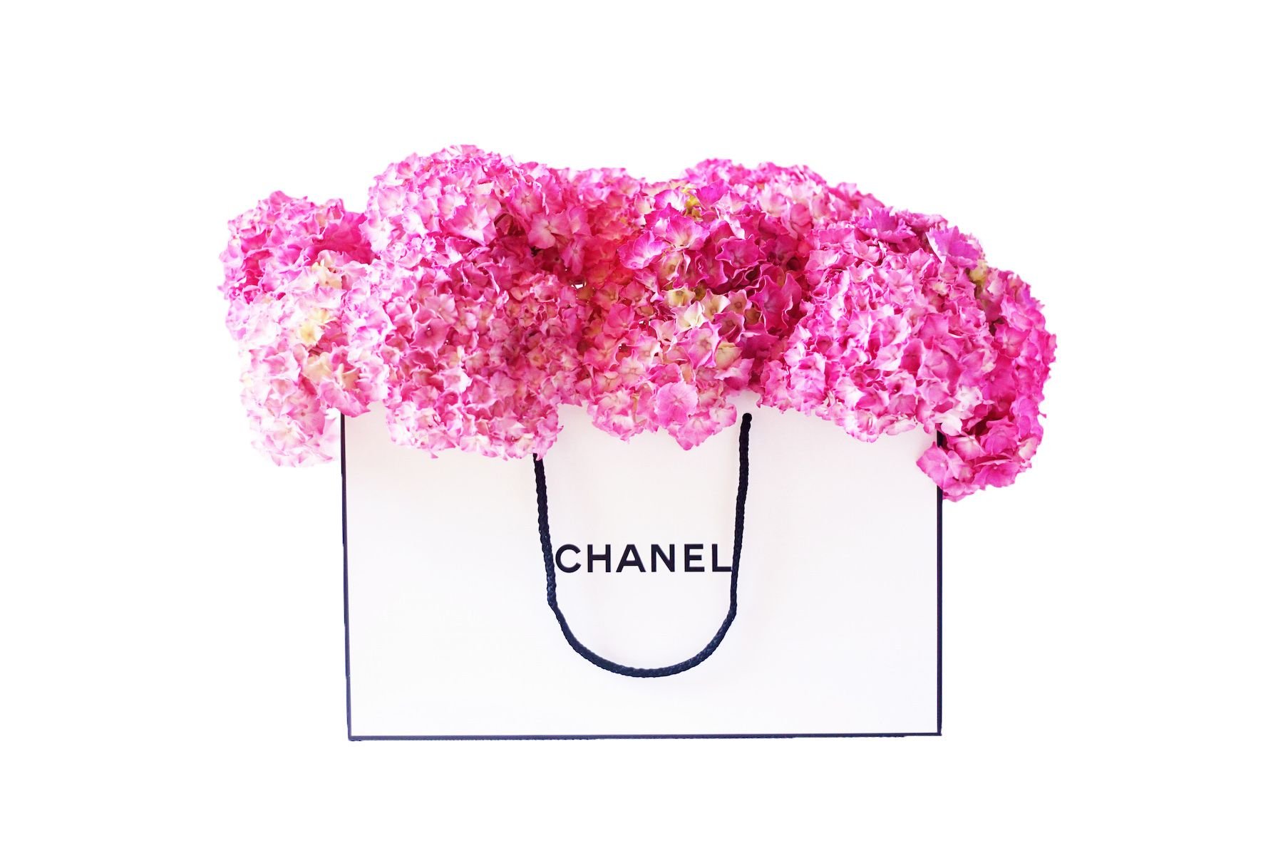 Chanel Roses Wallpapers