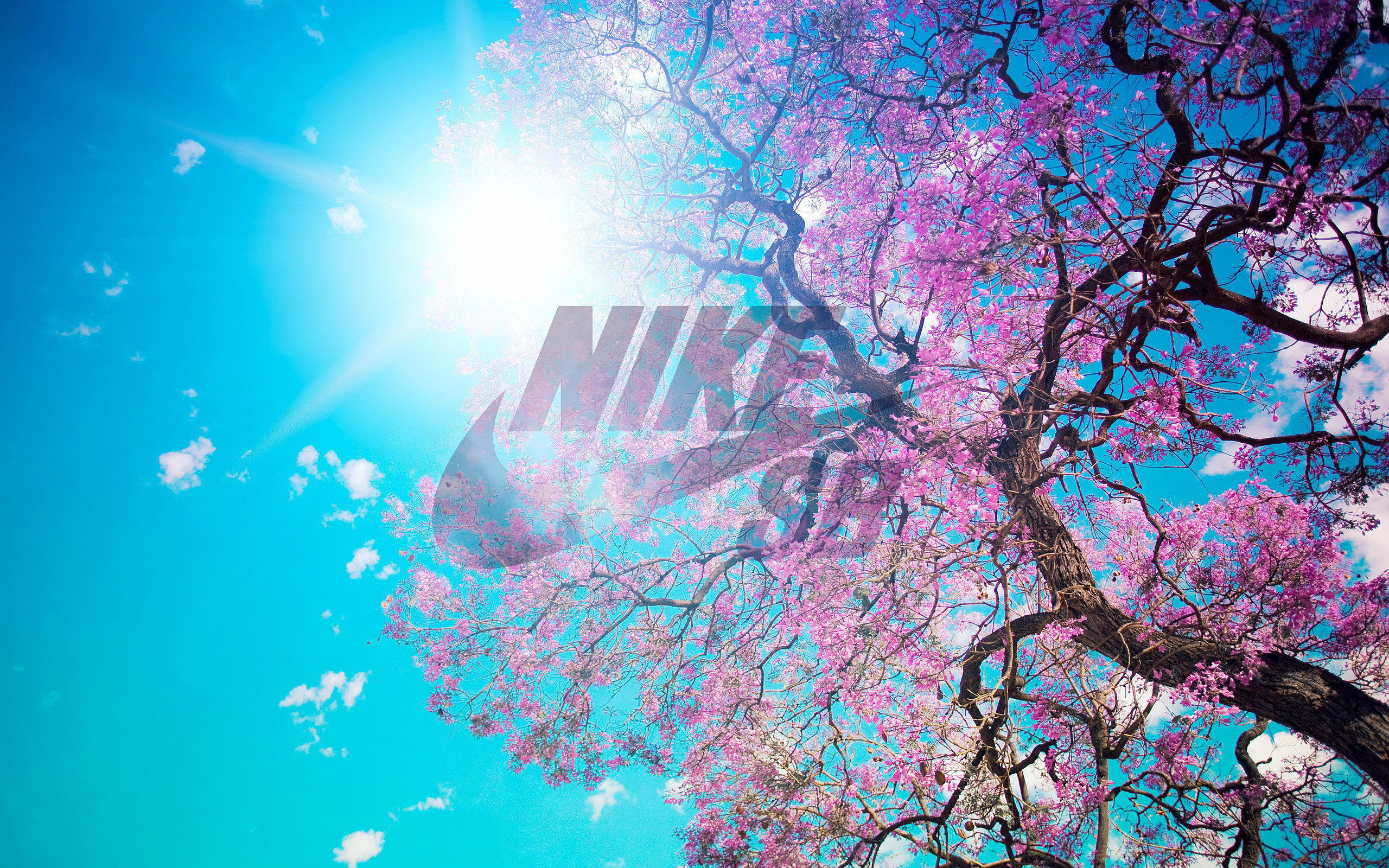 Nike Sb Wallpapers