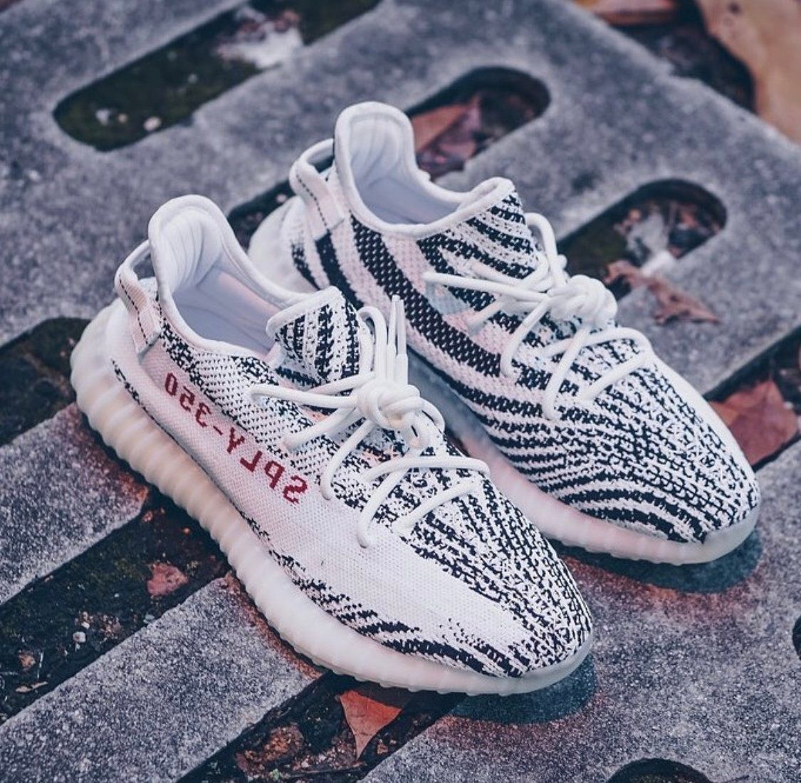 Yeezy 350 V2 Zebra Wallpapers