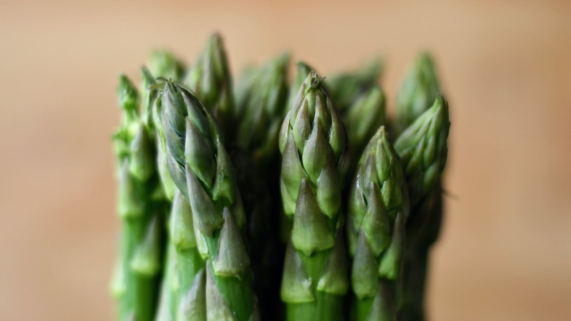 Asparagus Wallpapers