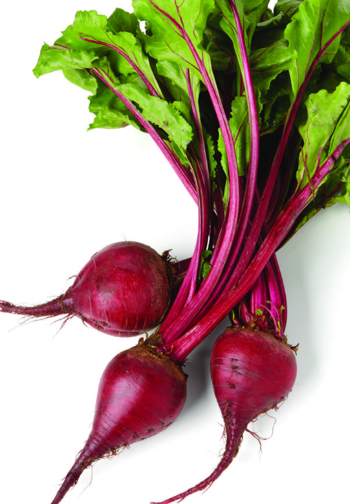 Beet Wallpapers