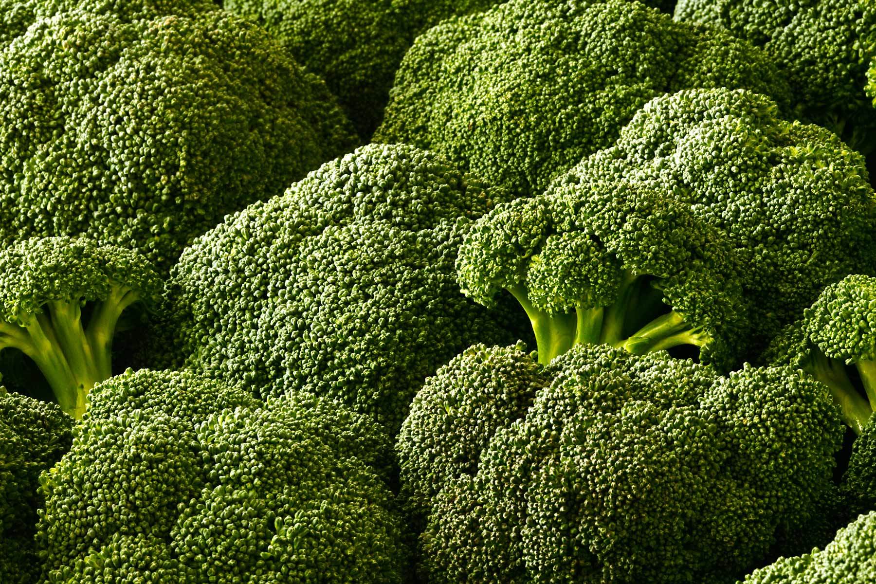 Broccoli Wallpapers