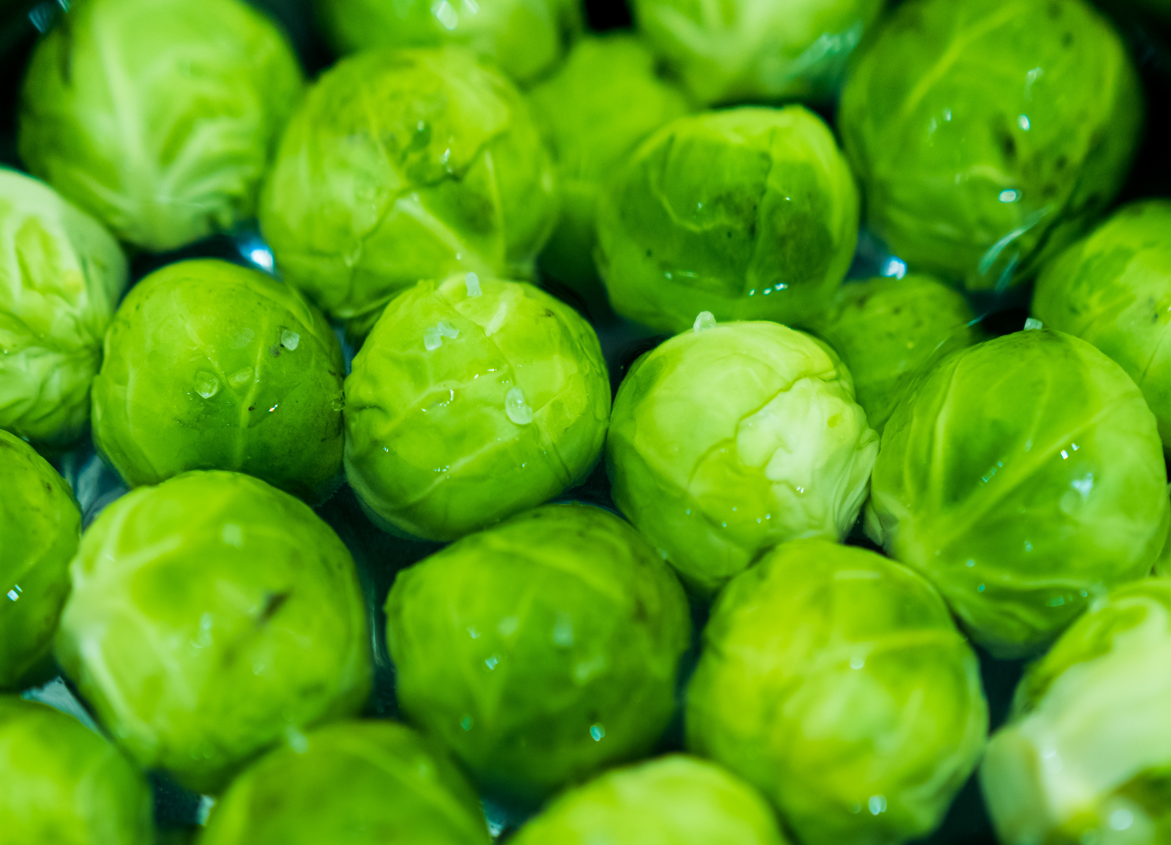 Brussel Sprout Wallpapers