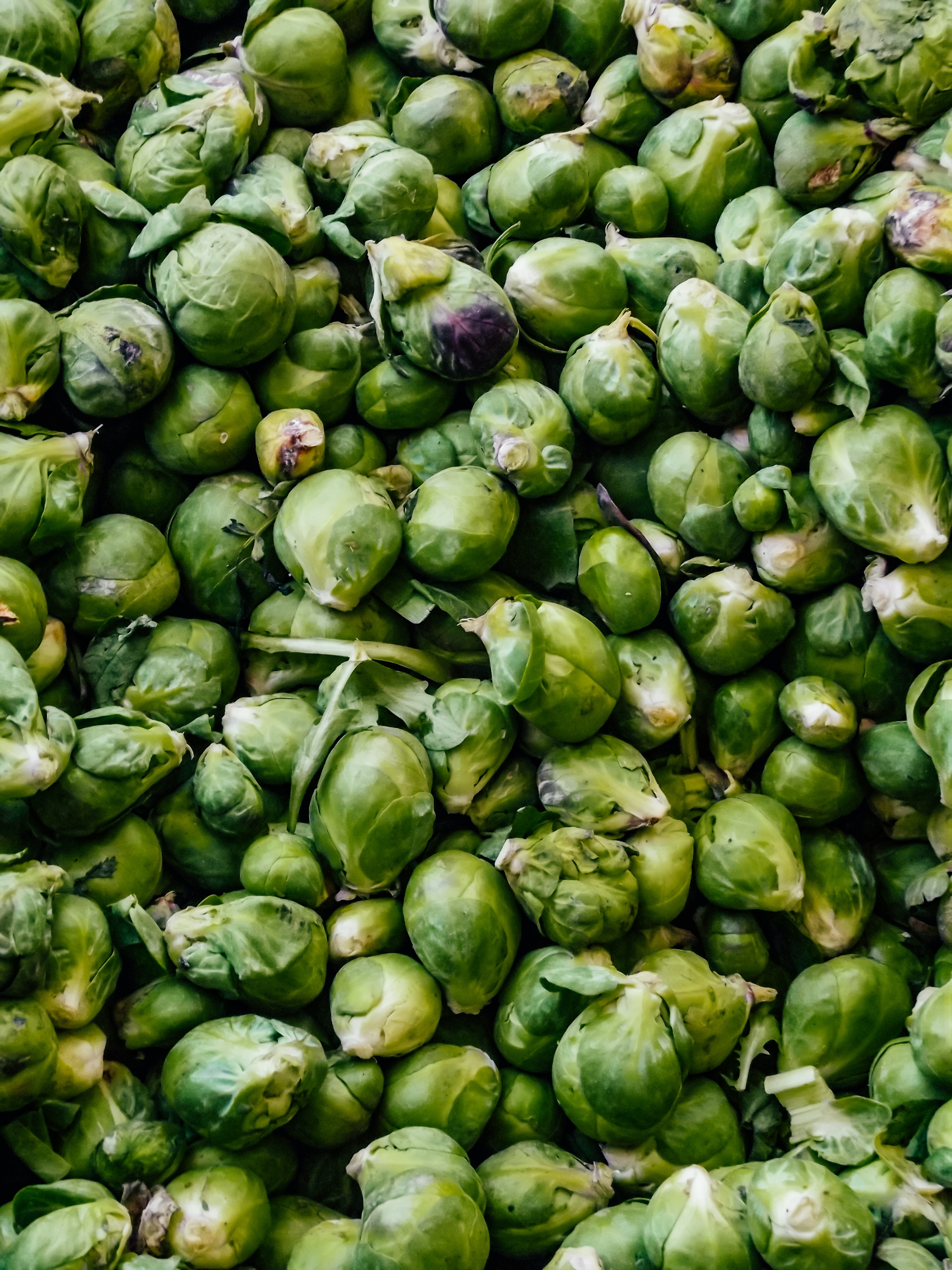 Brussel Sprout Wallpapers