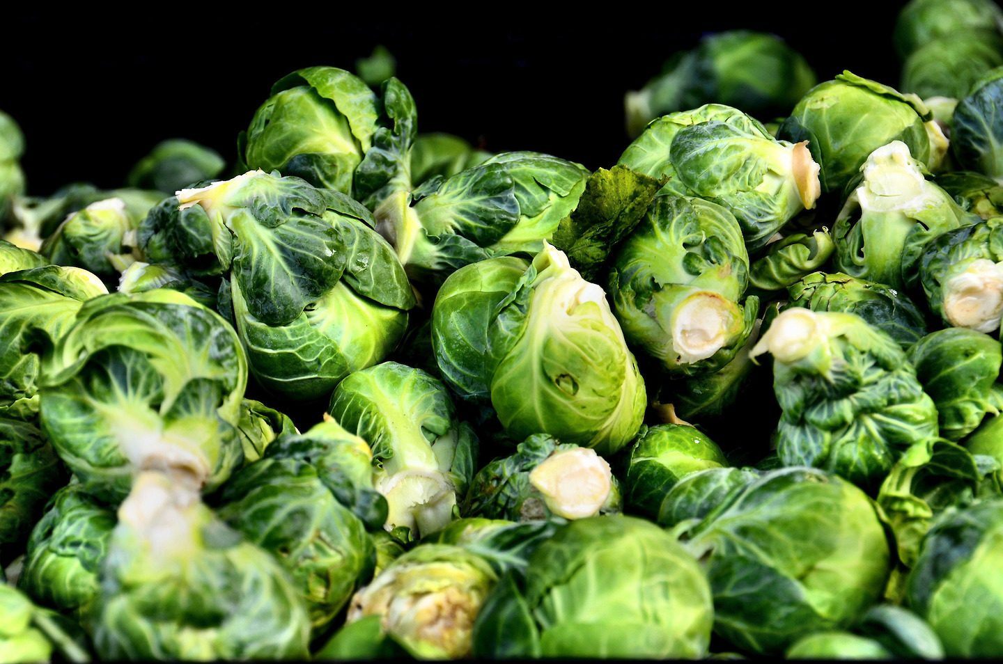 Brussel Sprout Wallpapers