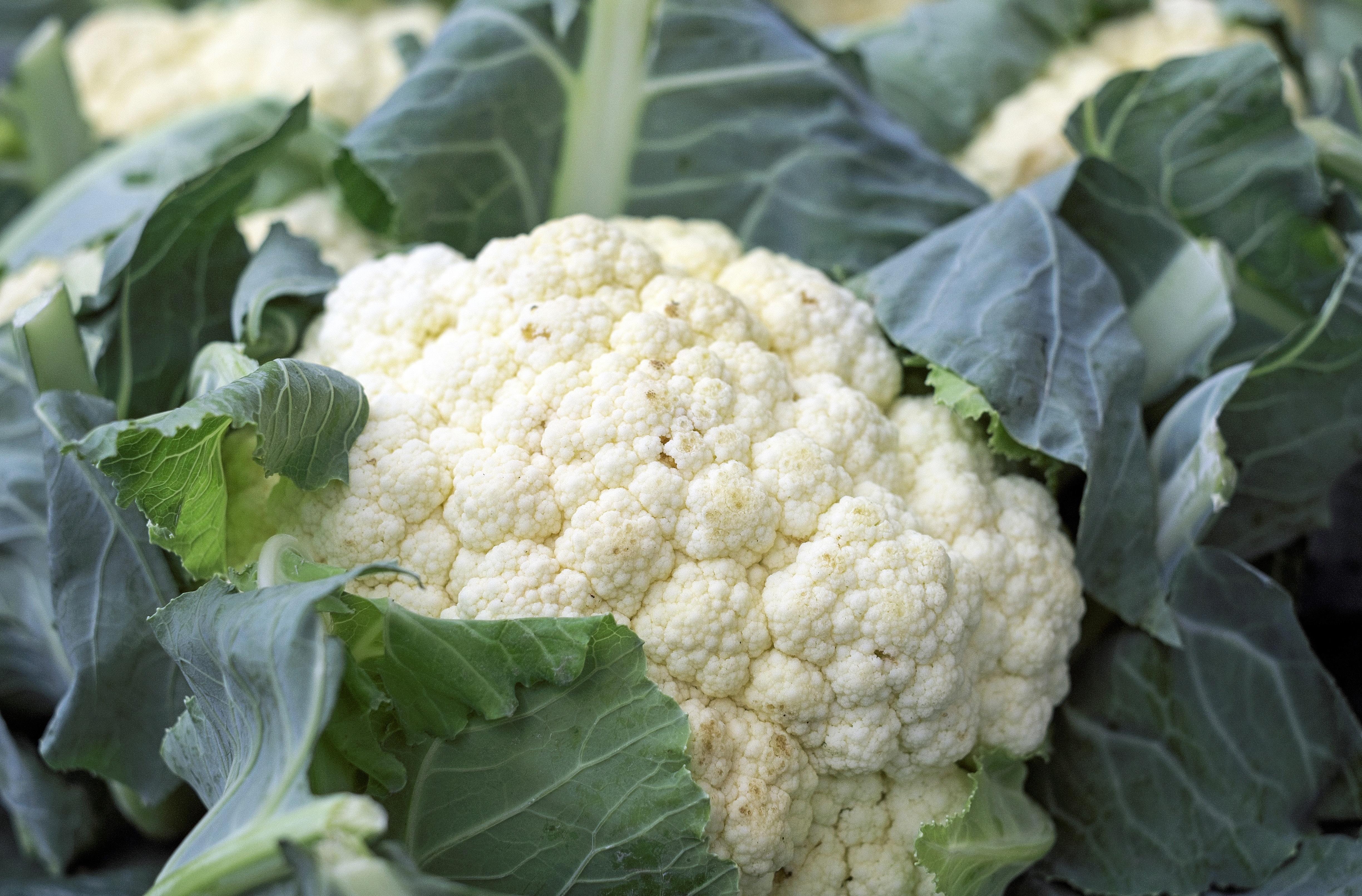 Cauliflower Wallpapers