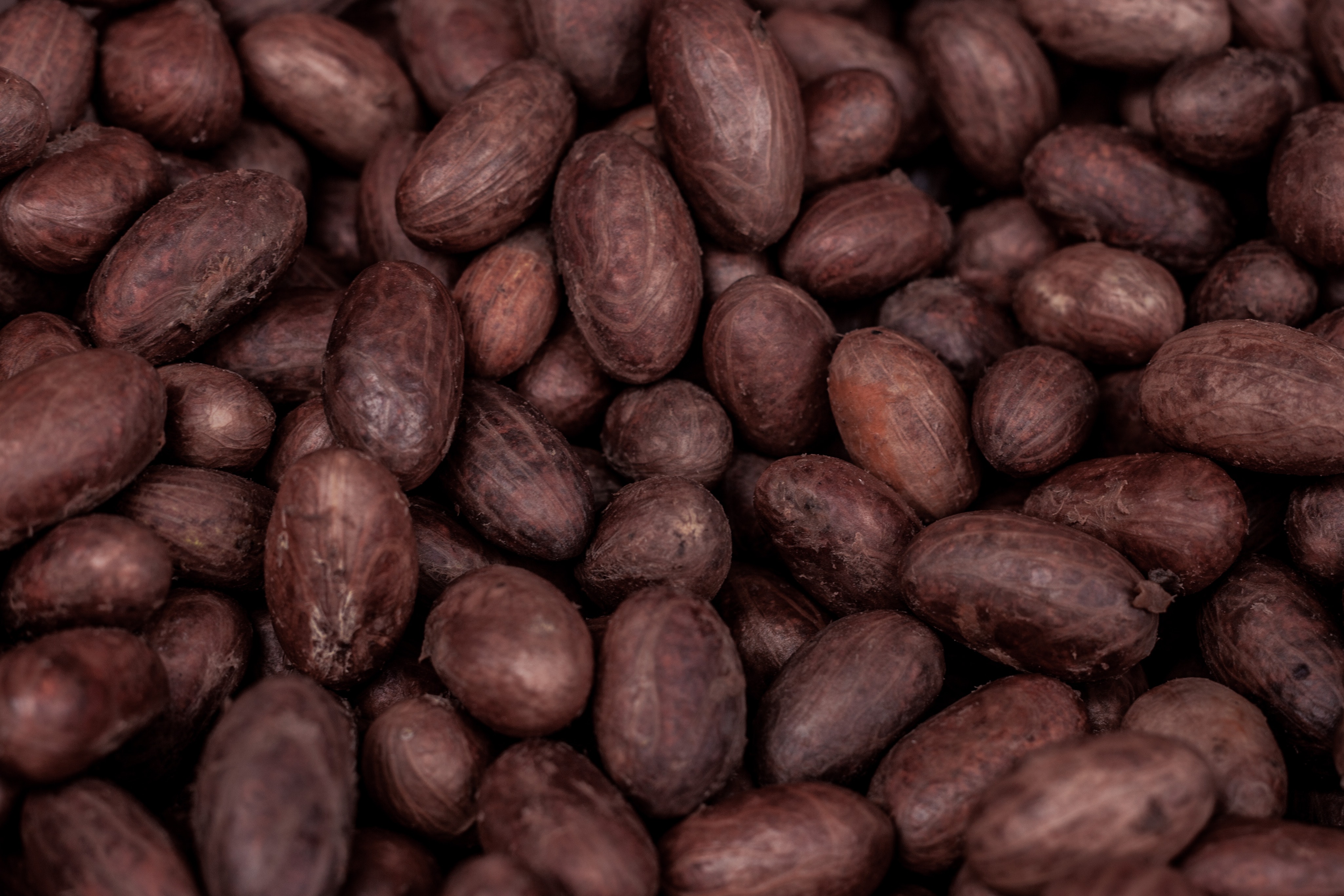 Cocoa Bean Wallpapers