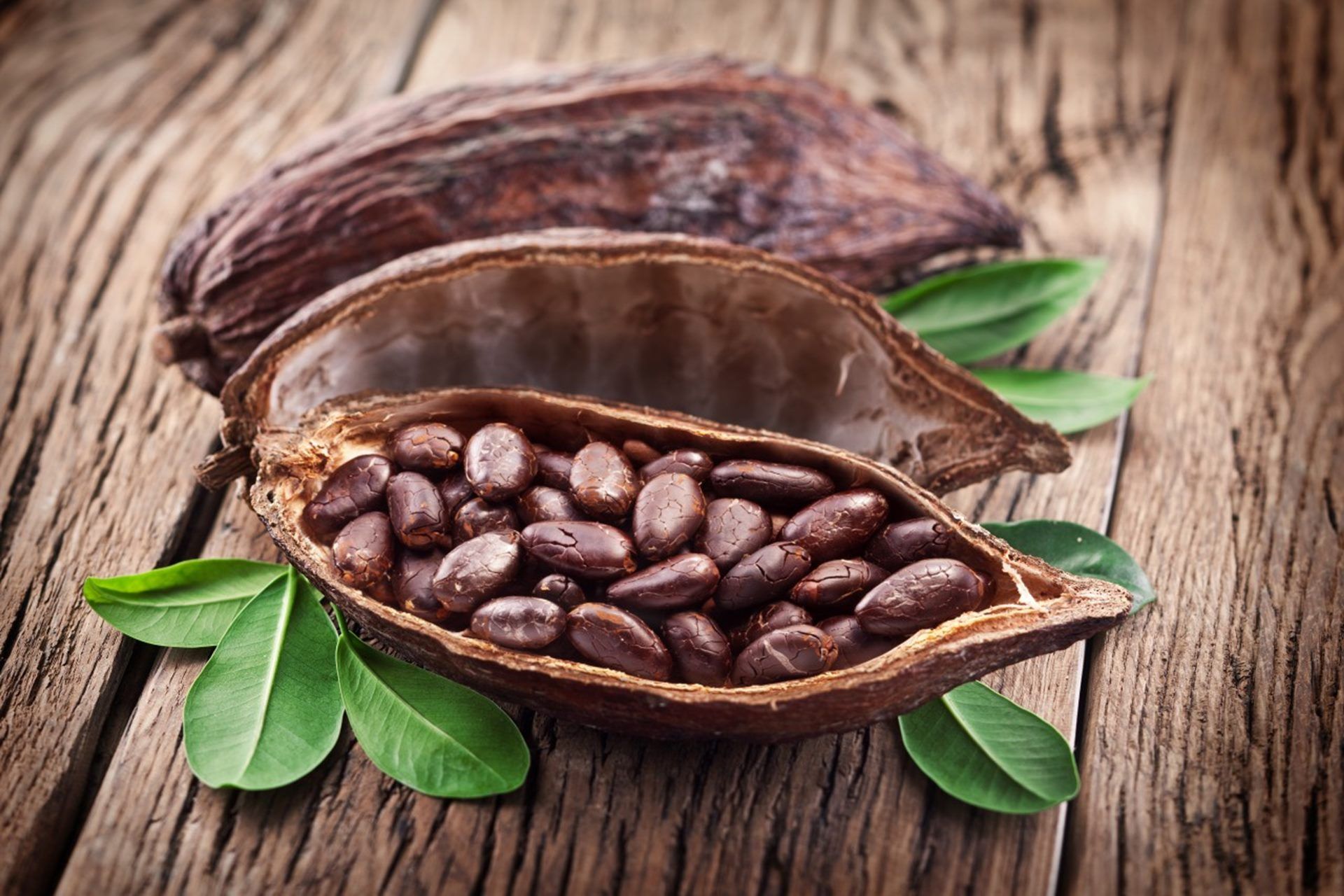 Cocoa Bean Wallpapers