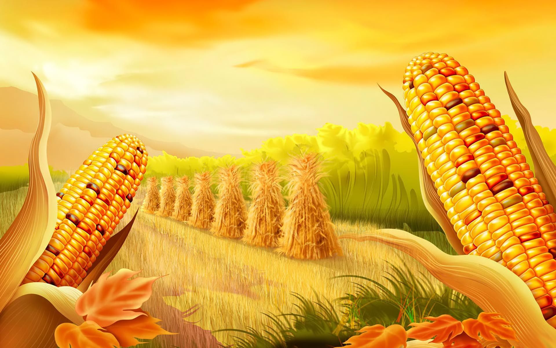 Corn Wallpapers