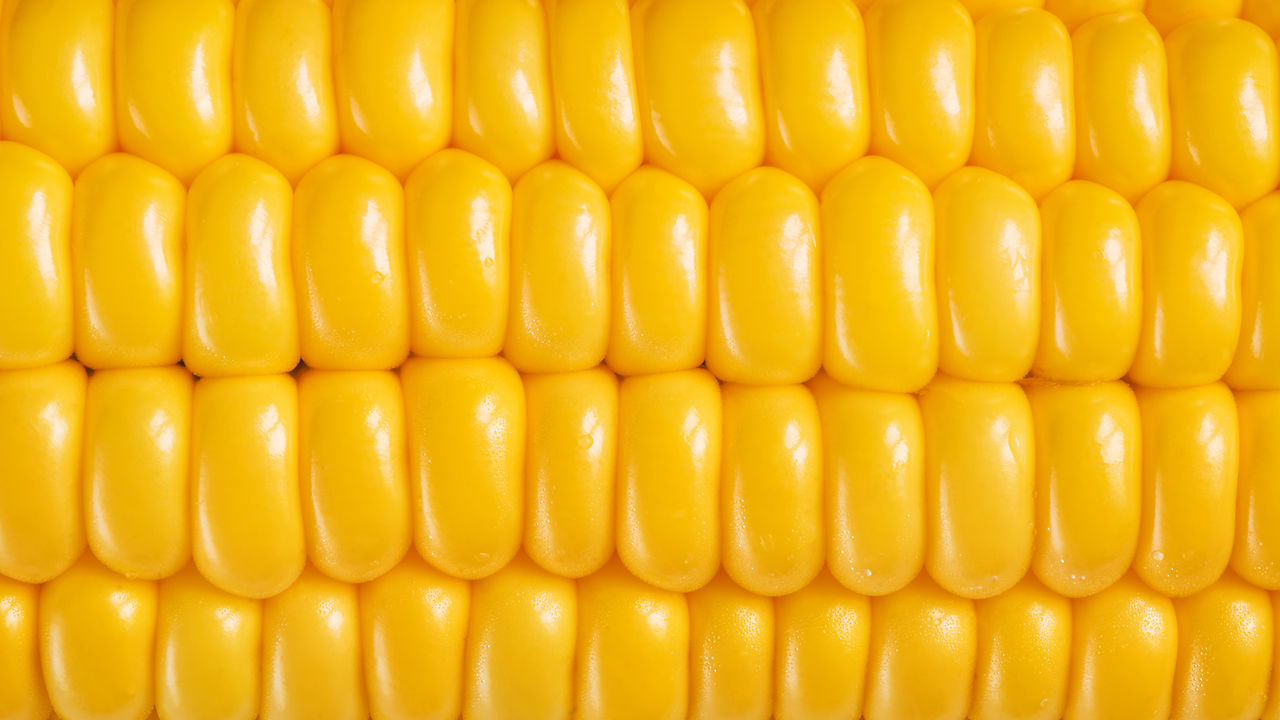 Corn Wallpapers