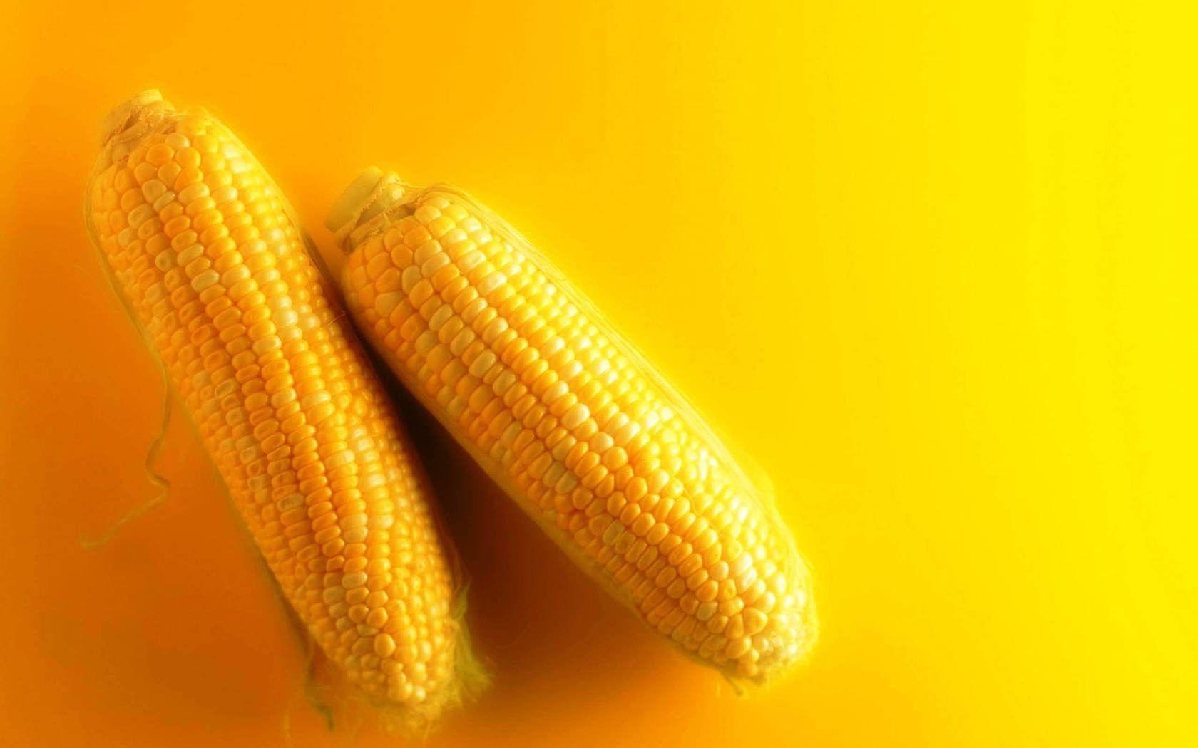 Corn Wallpapers